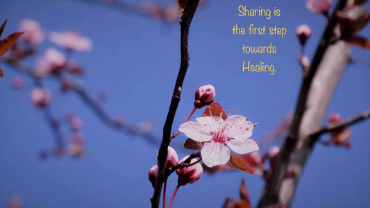 5 Essential Reasons Why Journaling Benefits Your Body and Mind - The Dreamer's Bookshop.
