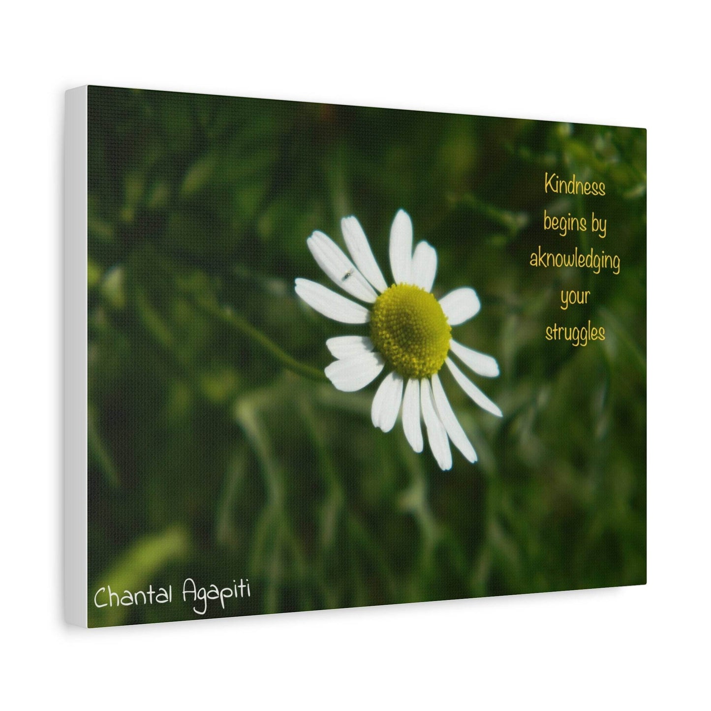 Inspirational Canvas Wall Art - Kindness Begins by Acknowledging Your Struggles - The Dreamer's Bookshop.