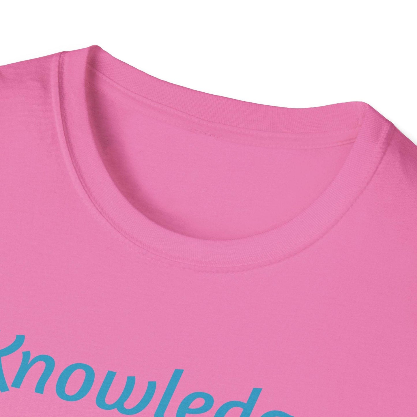Knowledge Keeper Owl Unisex Softstyle T-Shirt - Inspirational Tee for Wisdom Seekers - Proud Reader - The Dreamer's Bookshop.