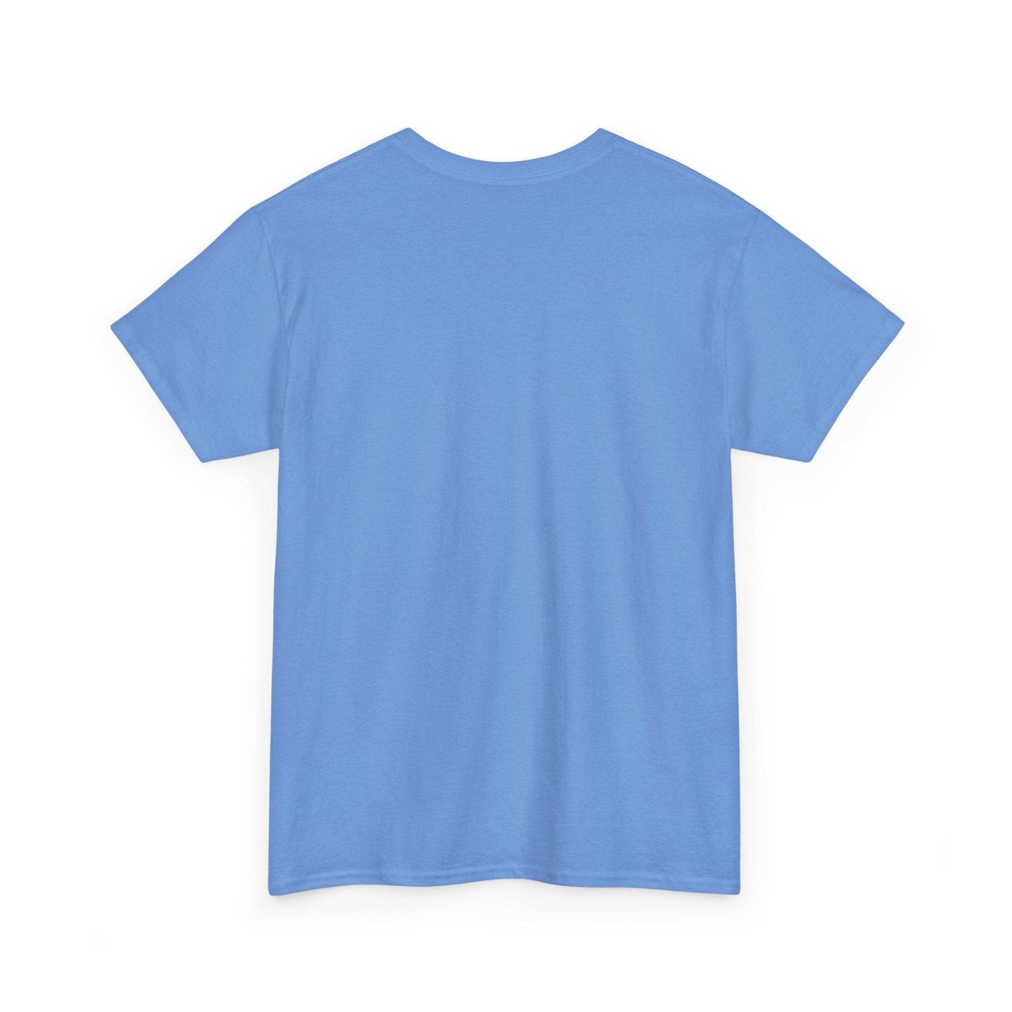 Fiction - Graphic Tee - Unisex Heavy Cotton T-Shirt Literature Books - The Dreamer's Bookshop.