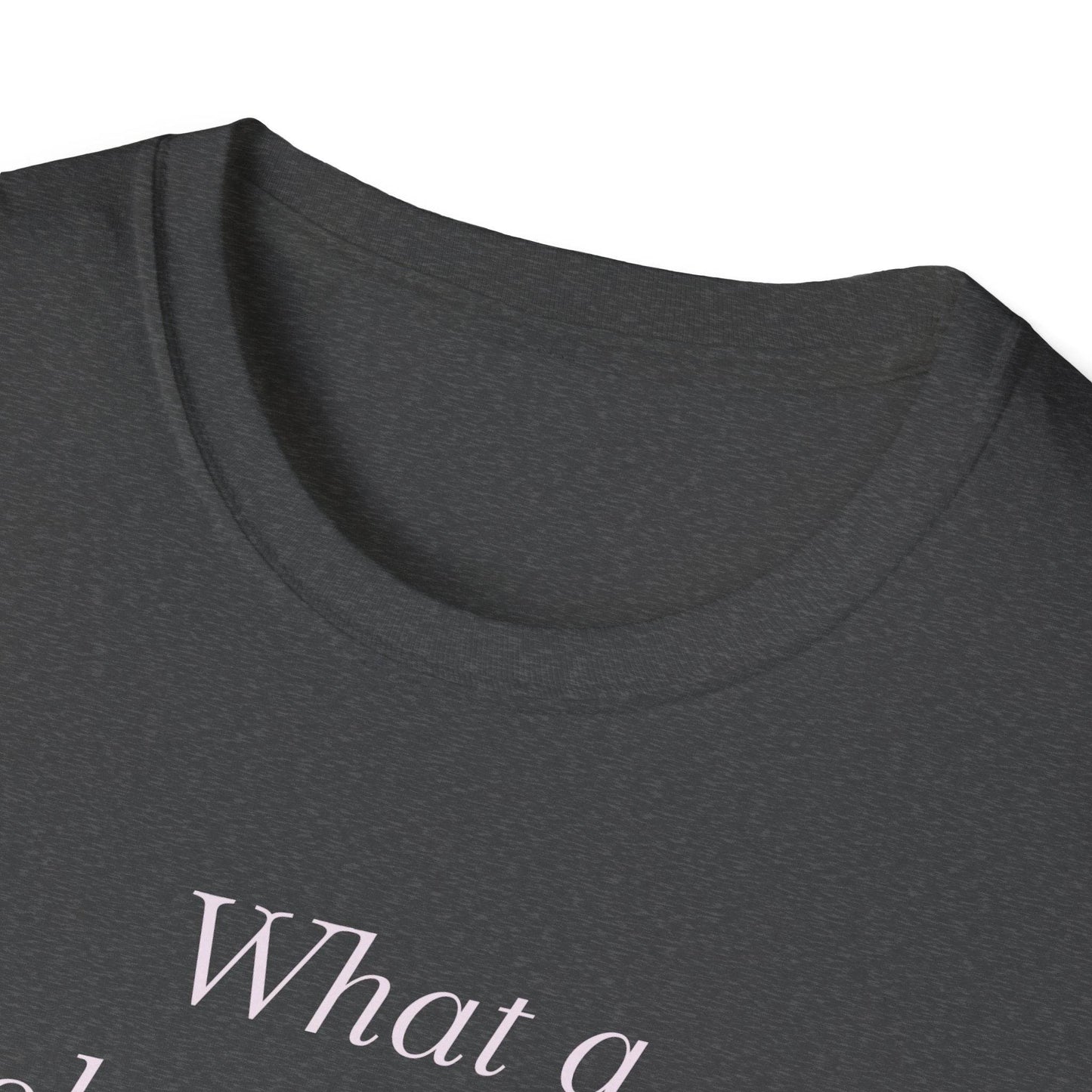 What a Book Girlie Wants Unisex T-Shirt - Perfect for Book Lovers & Reading Enthusiasts - The Dreamer's Bookshop.