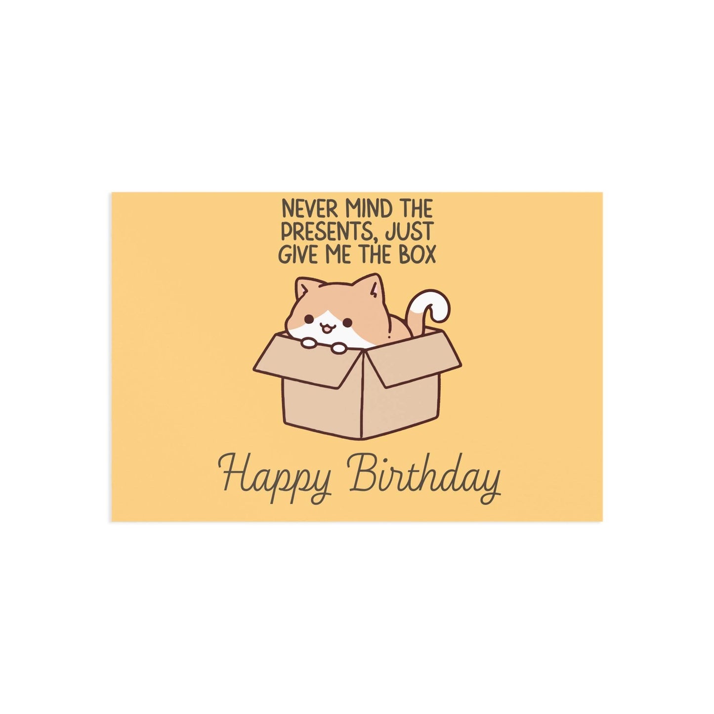 The Dreamer's Bookshop Cute "Leave me the box" Cat Birthday Card - The Dreamer's Bookshop.