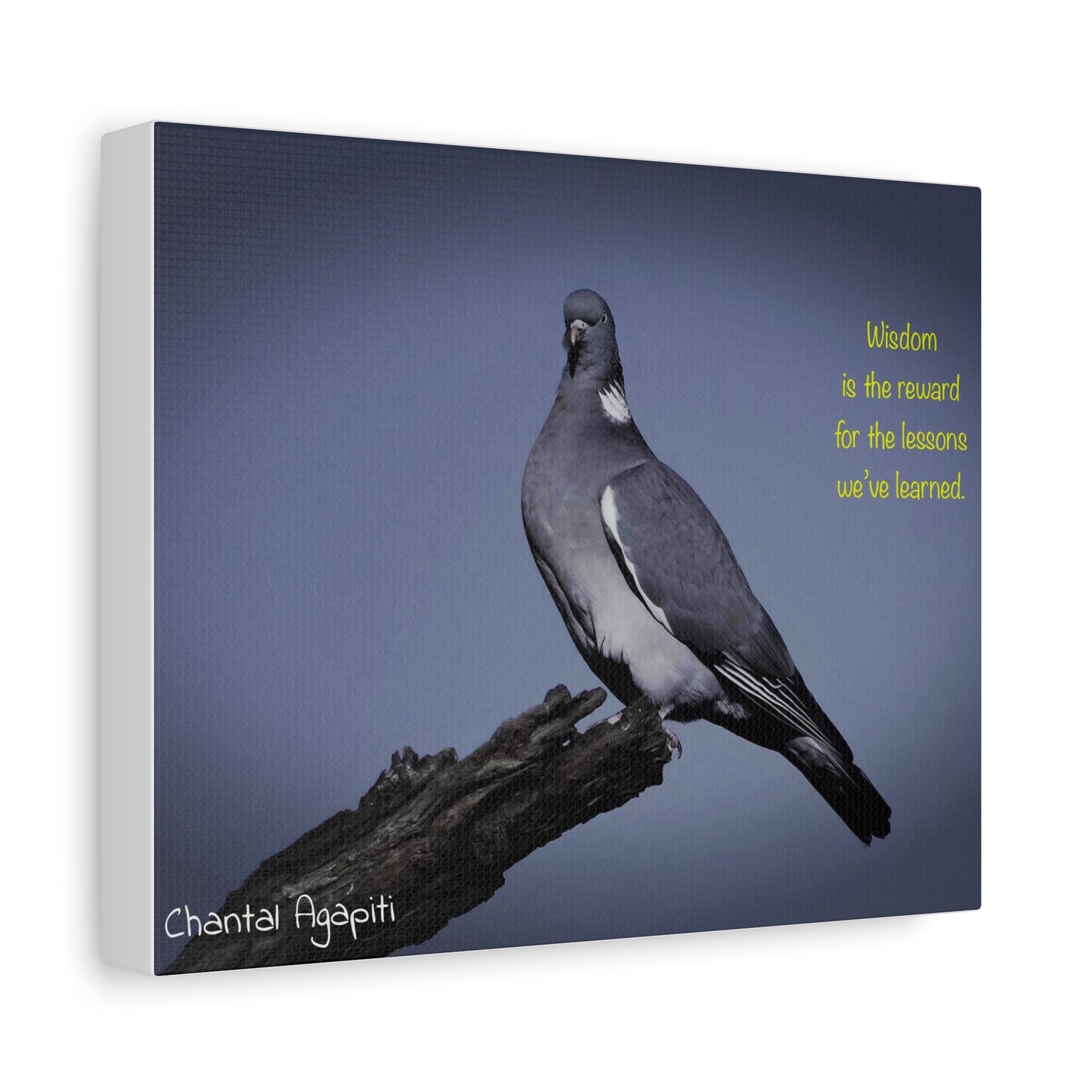 Inspirational Bird Canvas Art - "Wisdom is the Reward" - The Dreamer's Bookshop.