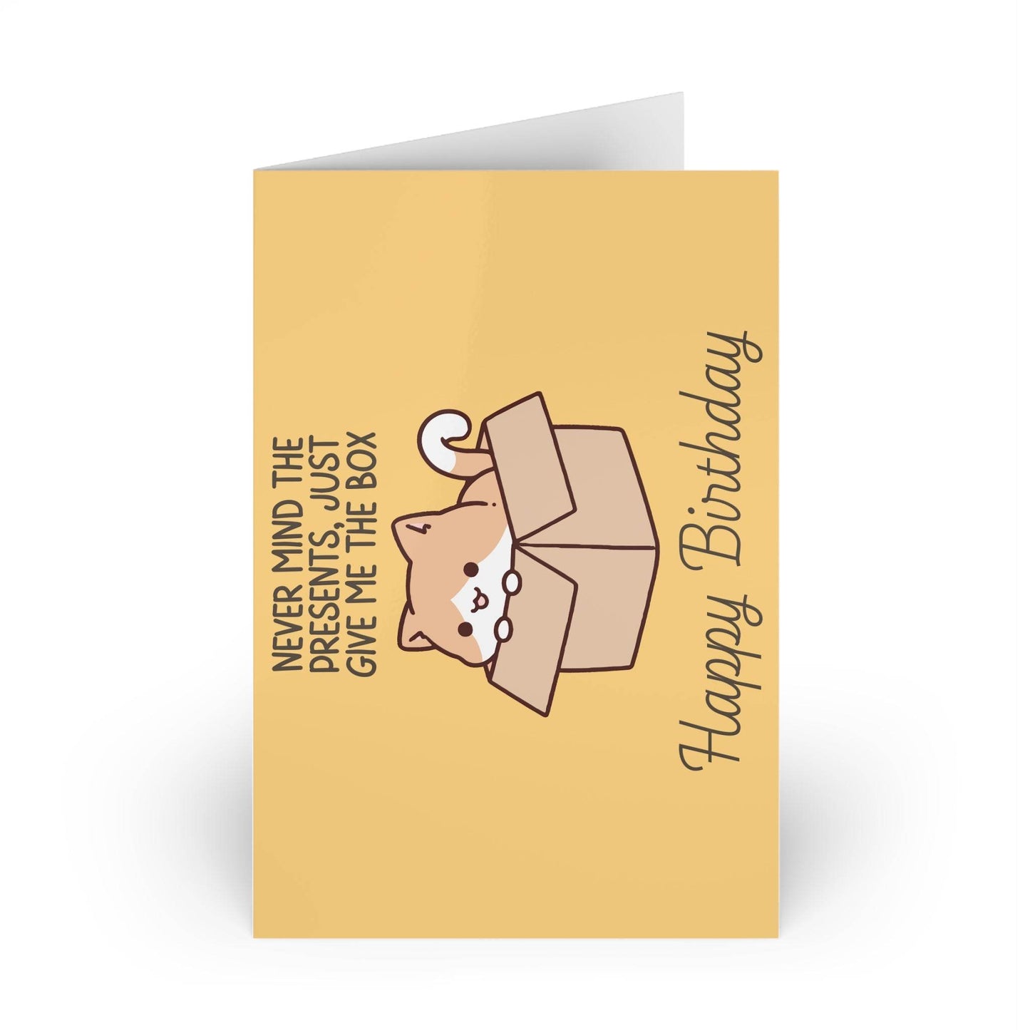 The Dreamer's Bookshop Cute "Give me the box" Cat Birthday Card - The Dreamer's Bookshop.