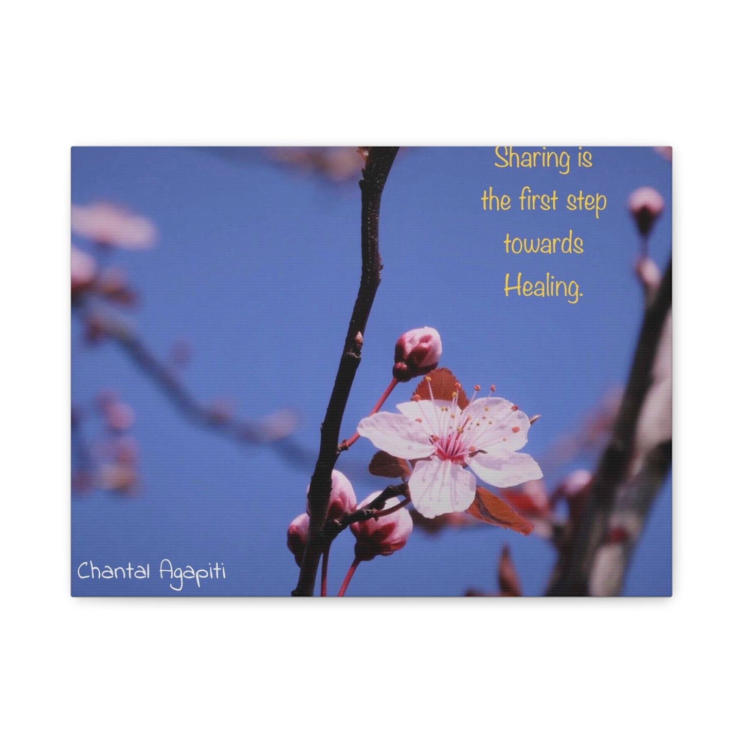 Inspirational Flower Canvas Print - "Sharing is the First Step Towards Healing" - The Dreamer's Bookshop.