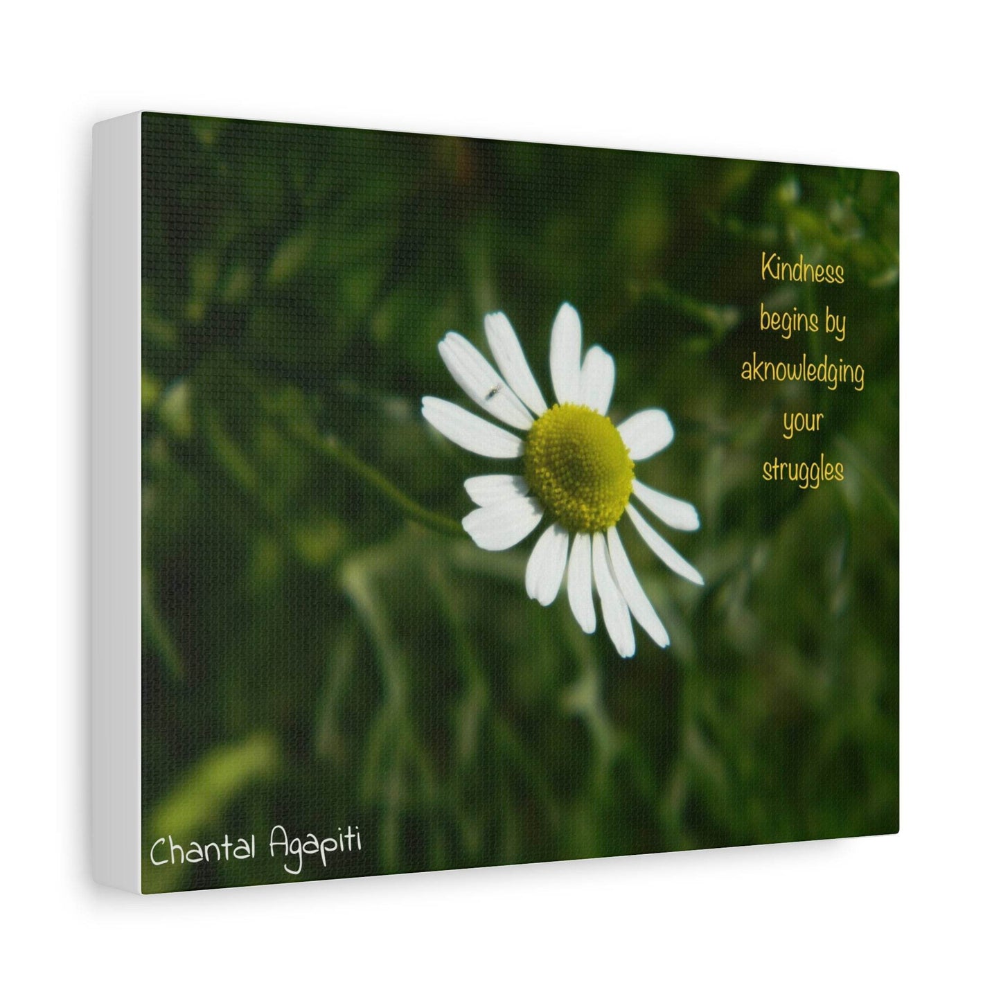 Inspirational Canvas Wall Art - Kindness Begins by Acknowledging Your Struggles - The Dreamer's Bookshop.