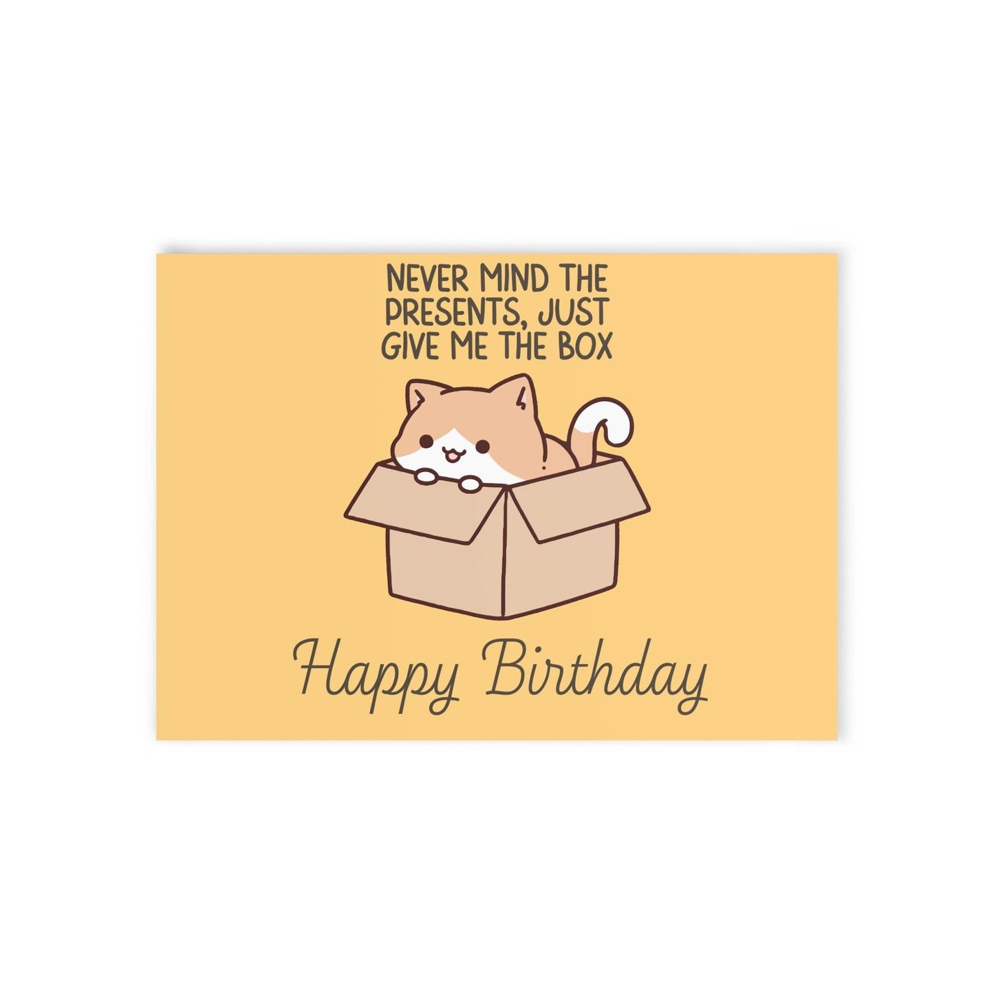 The Dreamer's Bookshop Cute "Give me the Box" Cat Birthday Card - The Dreamer's Bookshop.