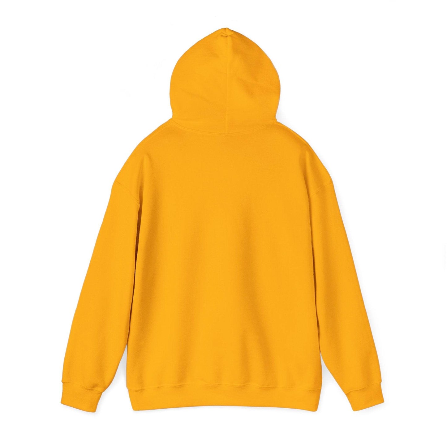 The Dreamer's Bookshop Unisex Hooded Sweatshirt - Cozy Literary Apparel - The Dreamer's Bookshop.