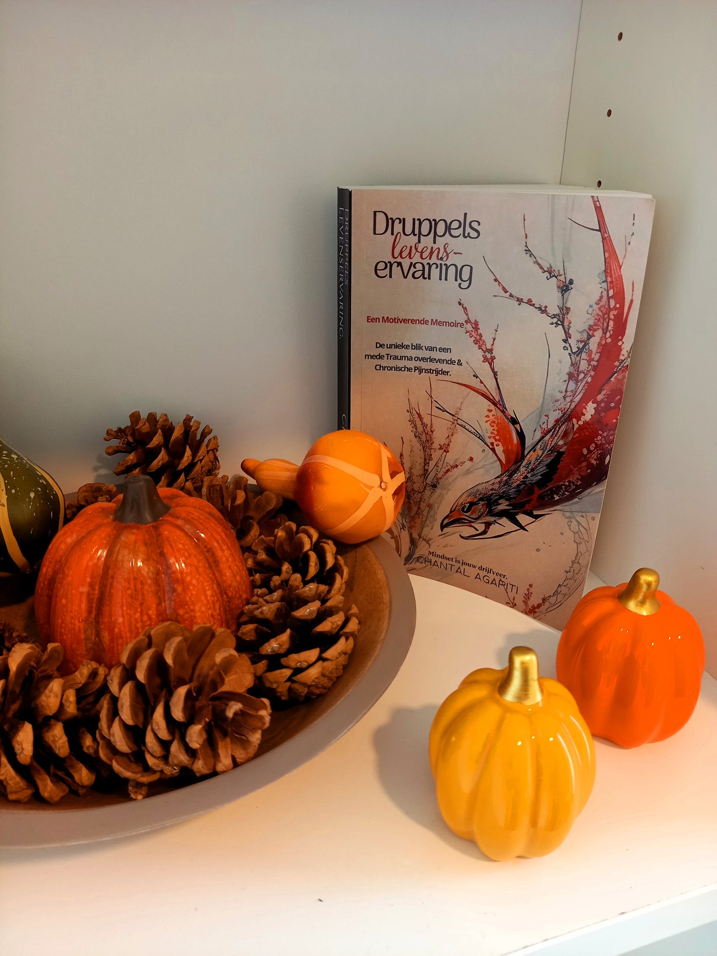 Druppels Levenservaring: Een Motiverende Memoires · Chantal Agapiti ✦ Indie Paperback