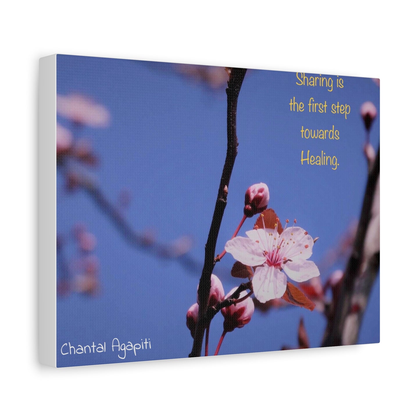 Inspirational Flower Canvas Print - "Sharing is the First Step Towards Healing" - The Dreamer's Bookshop.