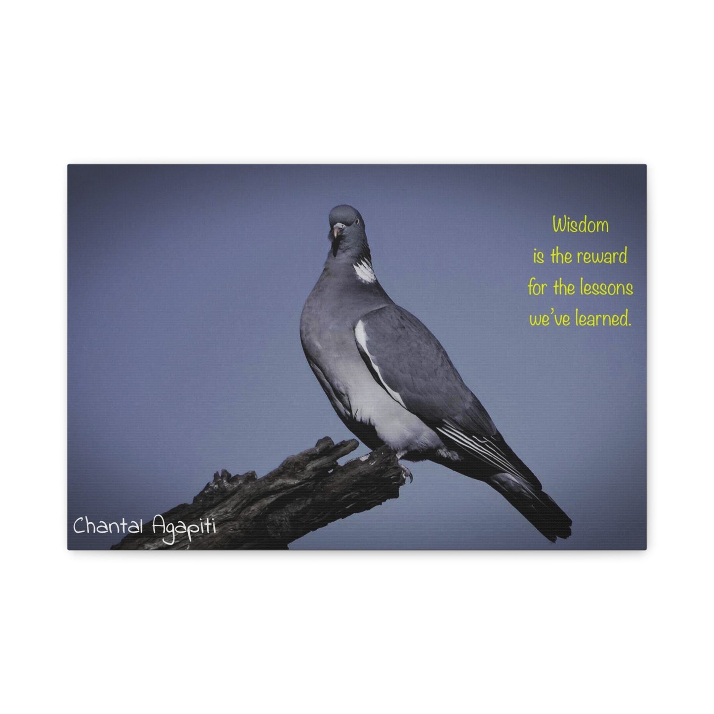 Inspirational Bird Canvas Art - "Wisdom is the Reward" - The Dreamer's Bookshop.