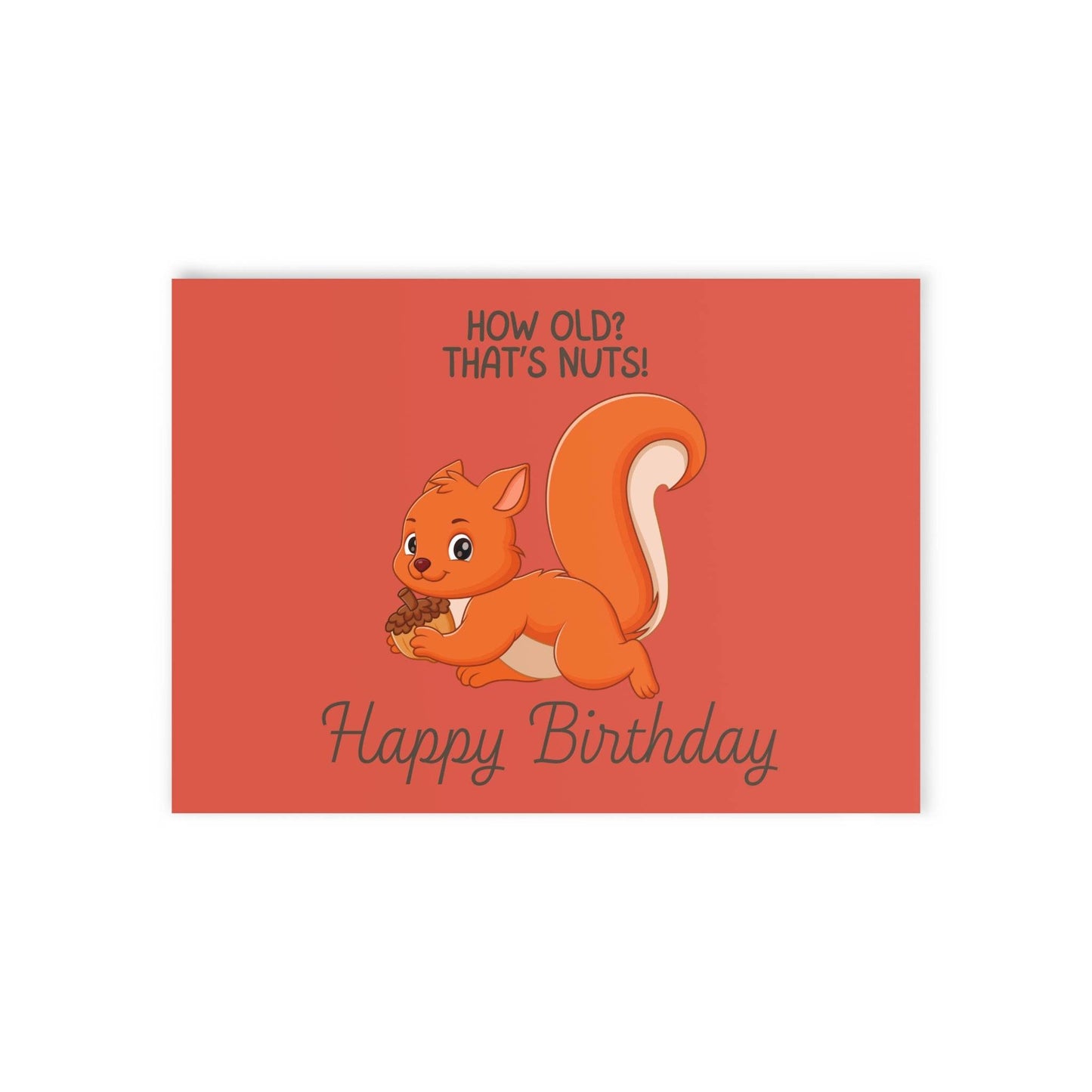 The Dreamer's Bookshop Cute "That's Nuts" Squirrel Birthday Card - The Dreamer's Bookshop.