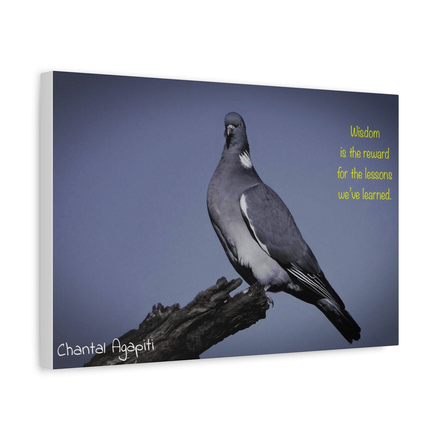 Inspirational Bird Canvas Art - "Wisdom is the Reward" - The Dreamer's Bookshop.