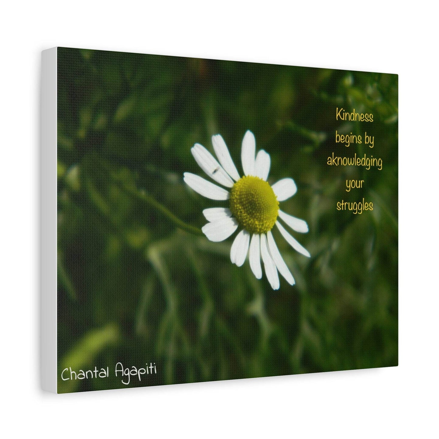 Inspirational Canvas Wall Art - Kindness Begins by Acknowledging Your Struggles - The Dreamer's Bookshop.