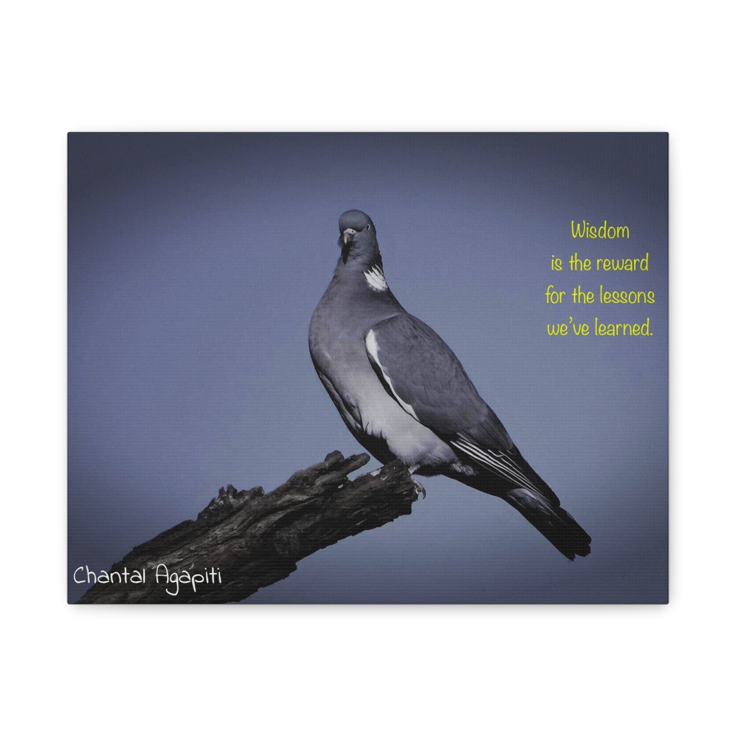Inspirational Bird Canvas Art - "Wisdom is the Reward" - The Dreamer's Bookshop.