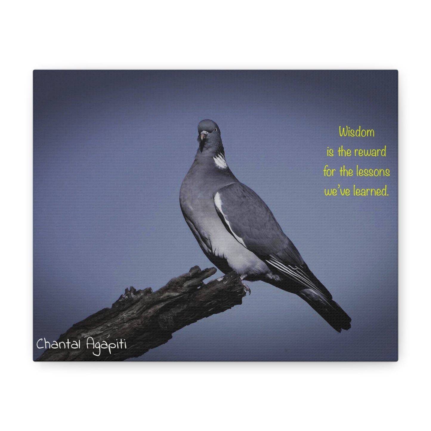 Inspirational Bird Canvas Art - "Wisdom is the Reward" - The Dreamer's Bookshop.
