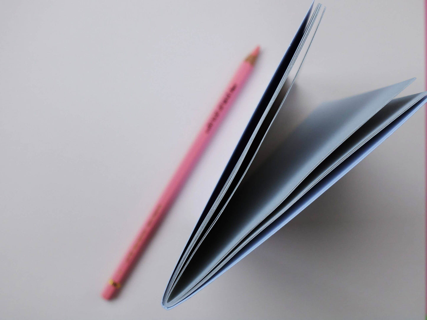 Wonder Of Today - A6 notitieboek voor roze papegaaien - The Dreamer's Bookshop.