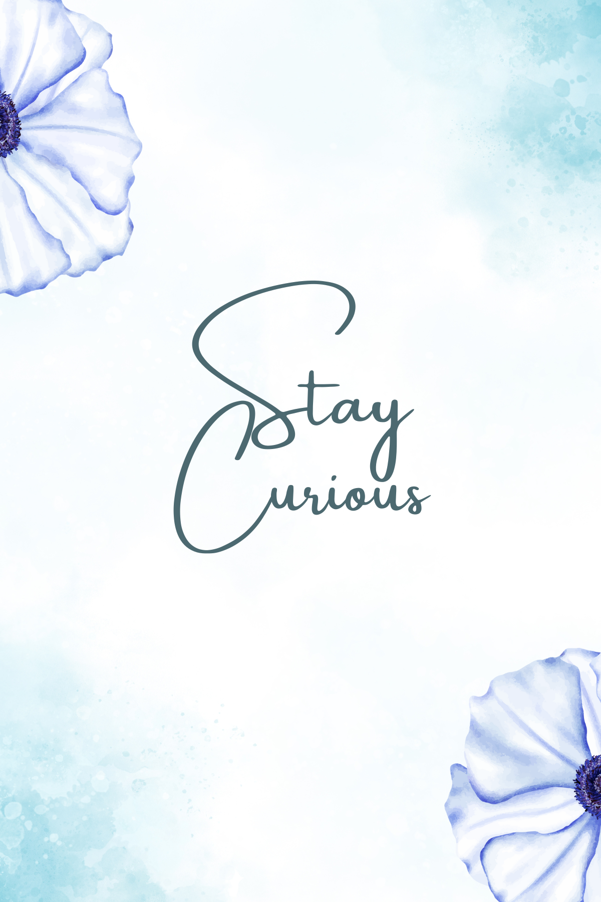 The Dreamer's Bookshop "Curious" Affirmation Card - The Dreamer's Bookshop.