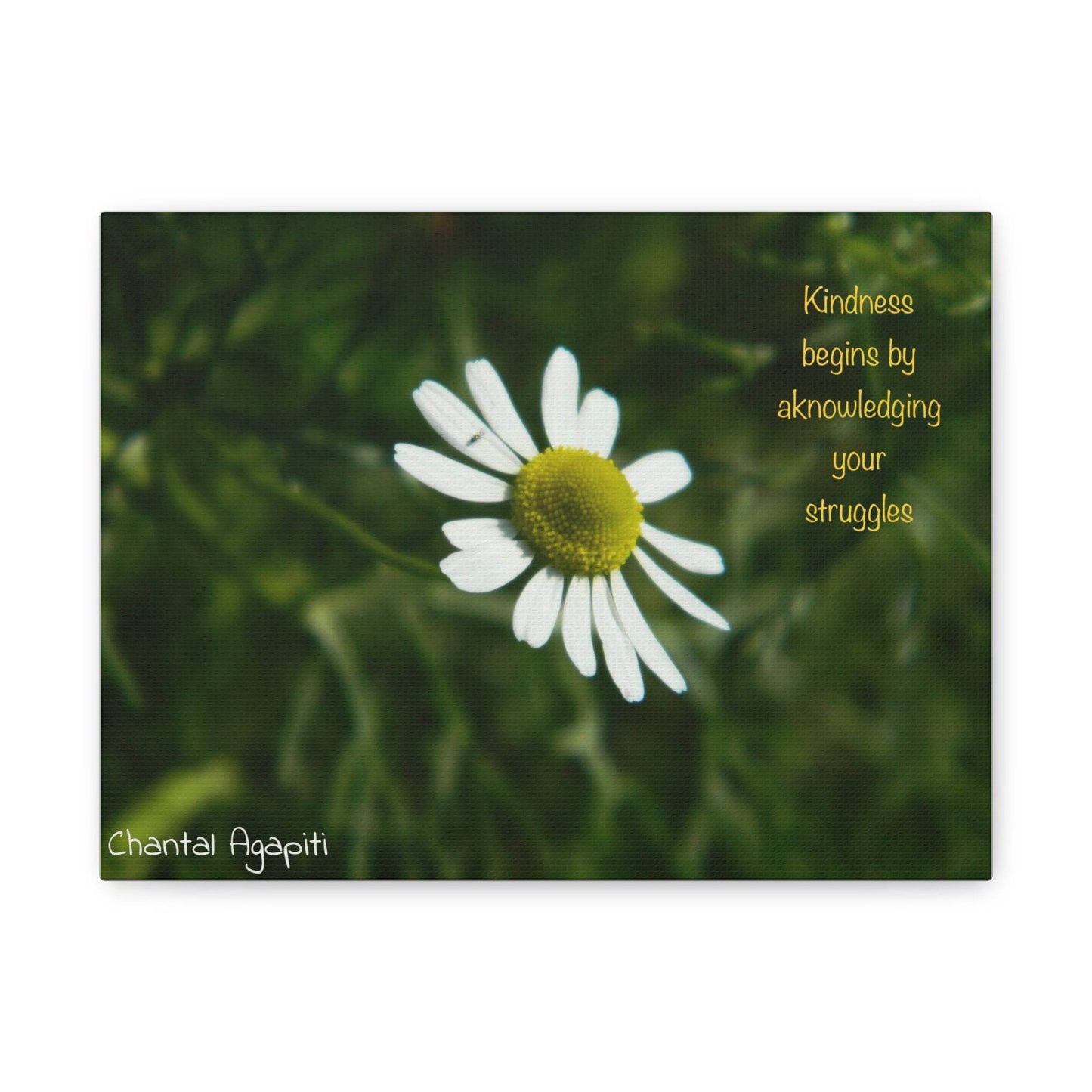 Inspirational Canvas Wall Art - Kindness Begins by Acknowledging Your Struggles - The Dreamer's Bookshop.