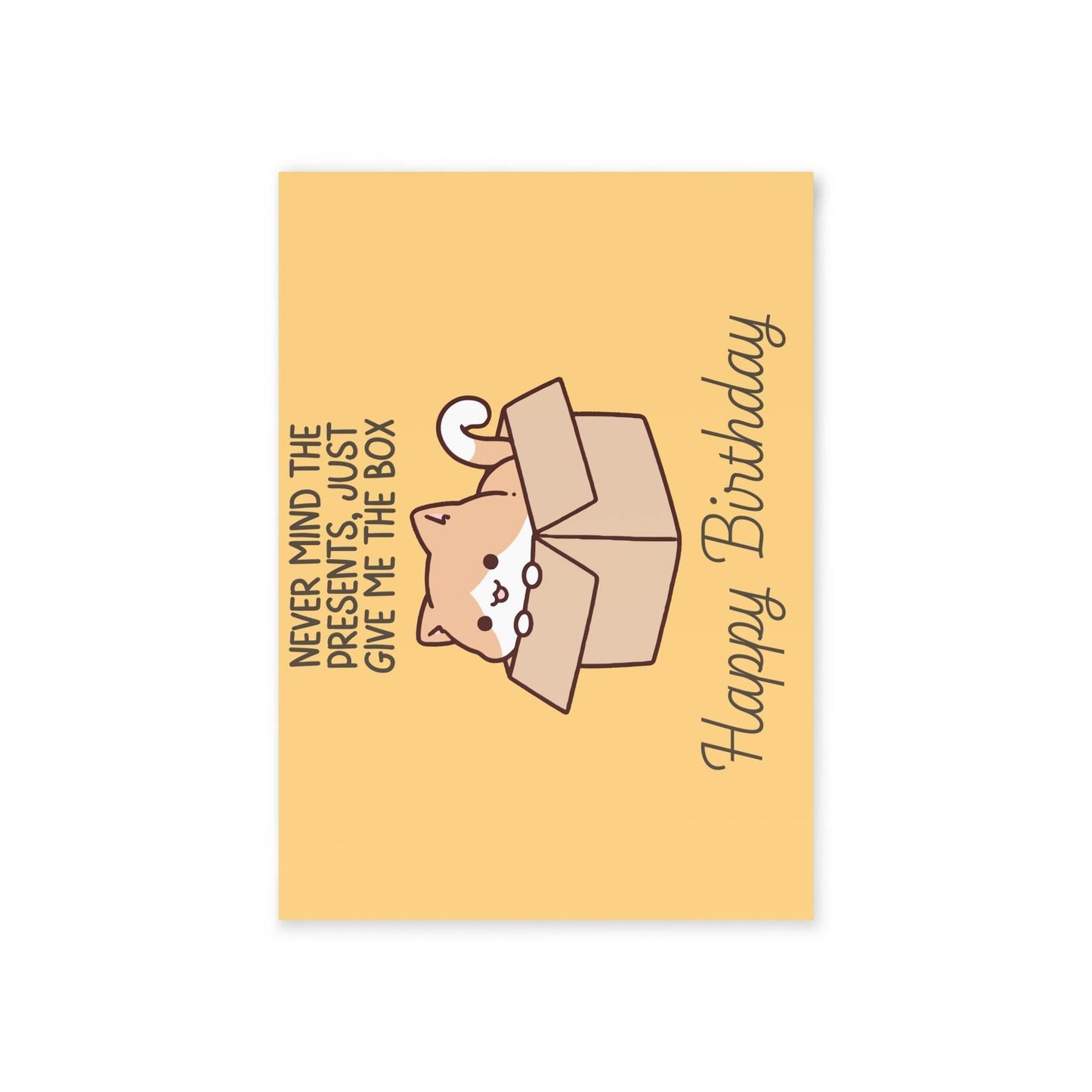 The Dreamer's Bookshop Cute "Give me the Box" Cat Birthday Card - The Dreamer's Bookshop.