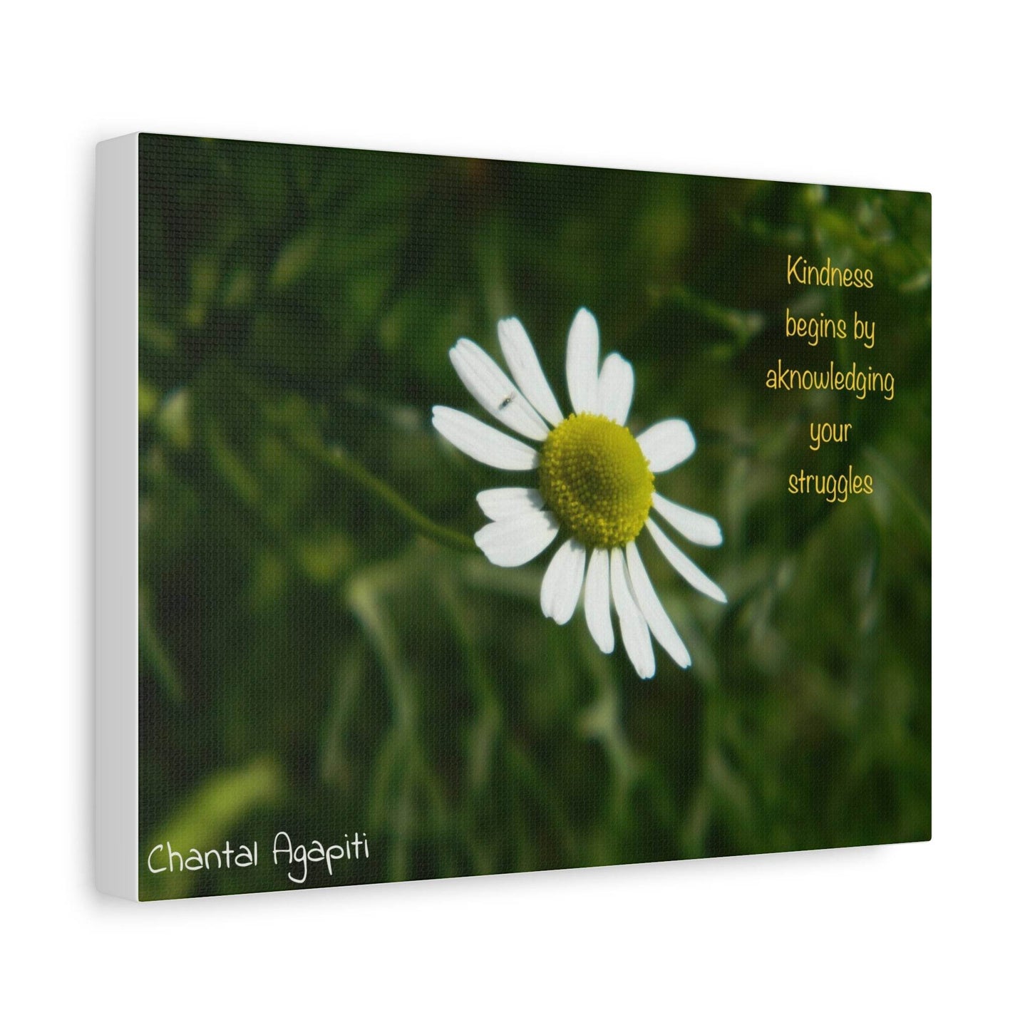 Inspirational Canvas Wall Art - Kindness Begins by Acknowledging Your Struggles - The Dreamer's Bookshop.