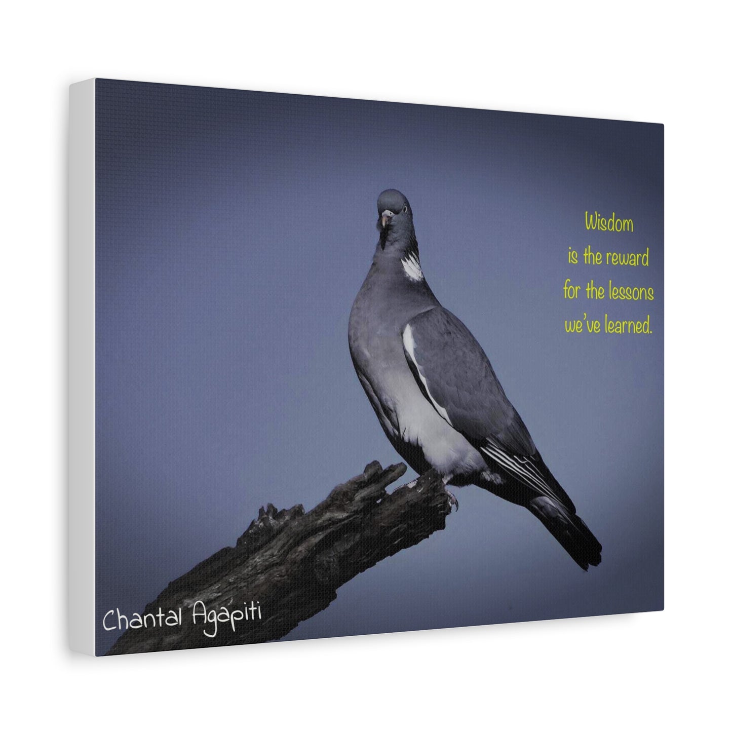 Inspirational Bird Canvas Art - "Wisdom is the Reward" - The Dreamer's Bookshop.