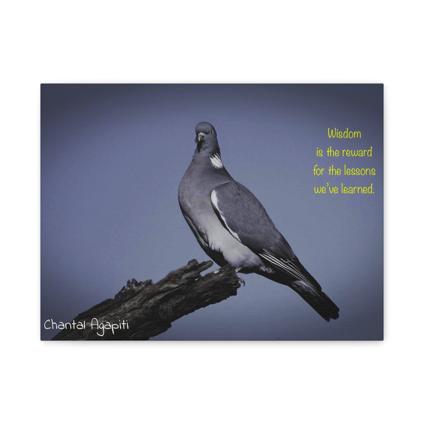 Inspirational Bird Canvas Art - "Wisdom is the Reward" - The Dreamer's Bookshop.