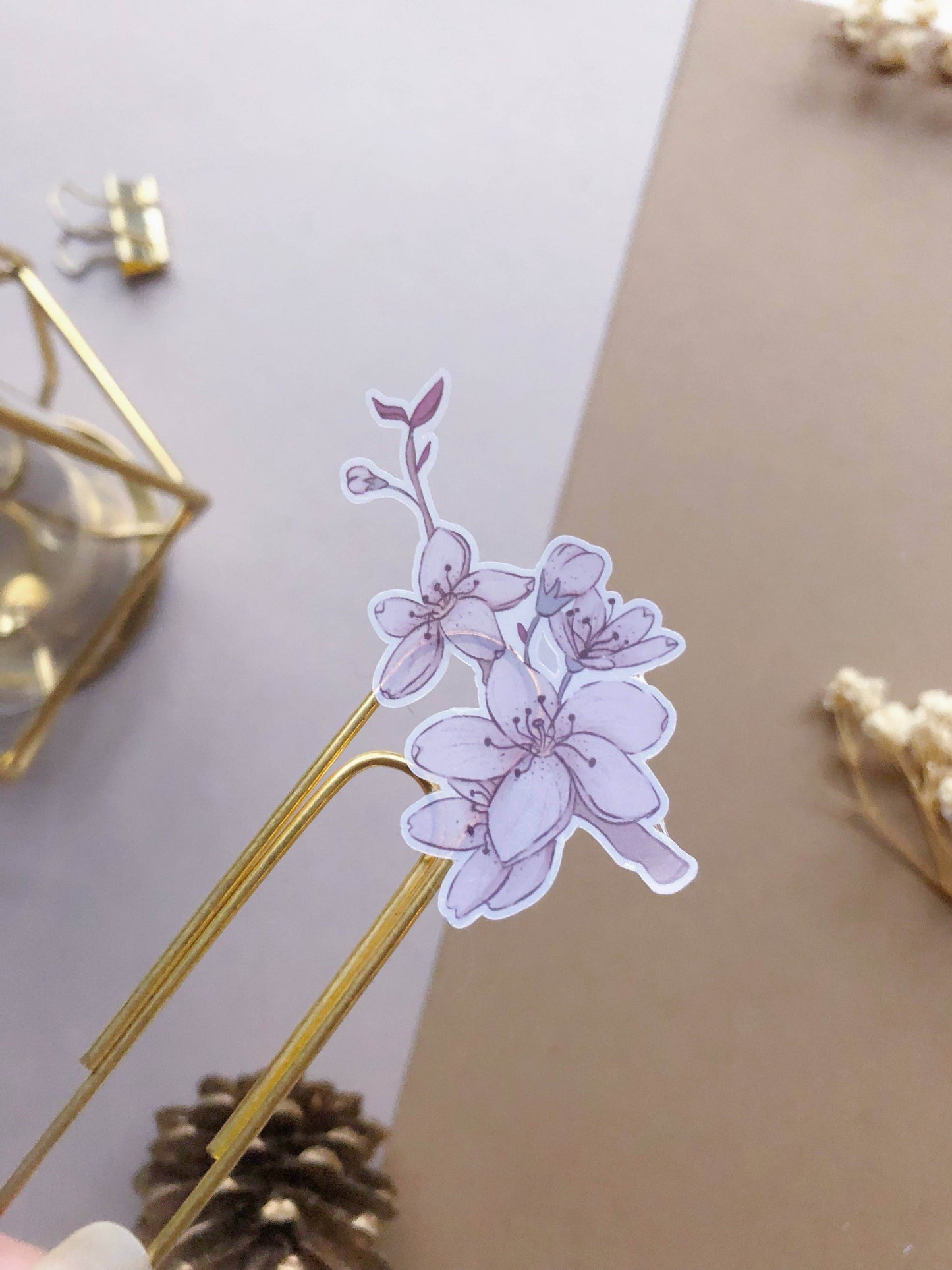 T's Stationery - „PET-stickers met kersenbloesem” - The Dreamer's Bookshop.