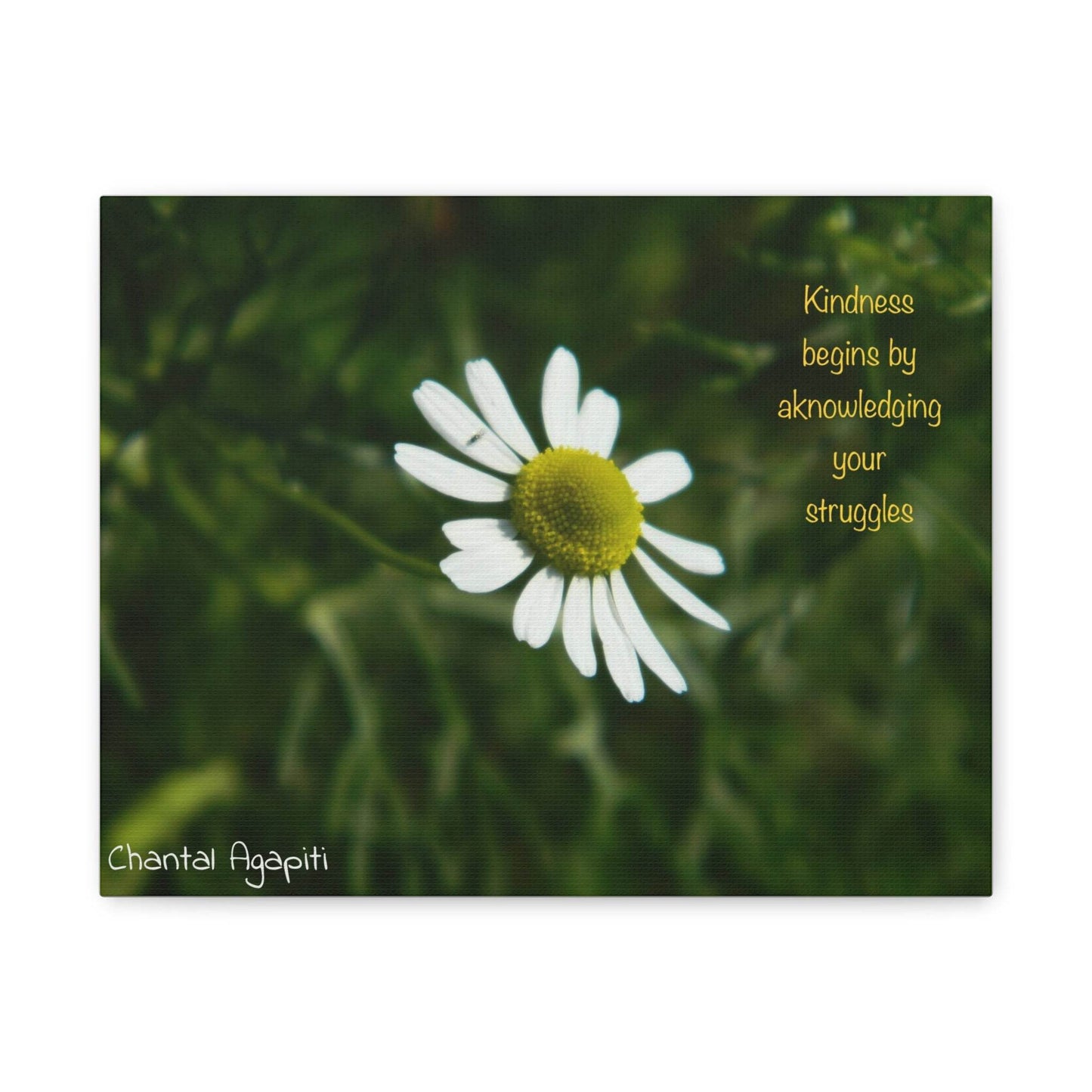 Inspirational Canvas Wall Art - Kindness Begins by Acknowledging Your Struggles - The Dreamer's Bookshop.