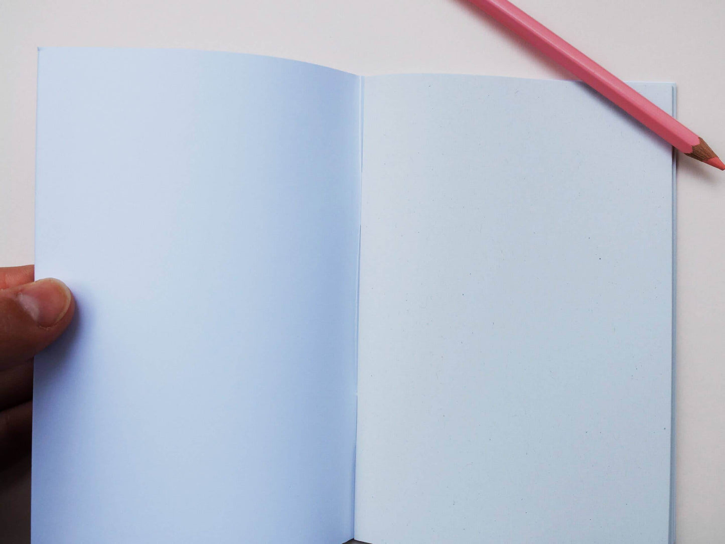 Wonder Of Today - A6 notitieboek voor roze papegaaien - The Dreamer's Bookshop.