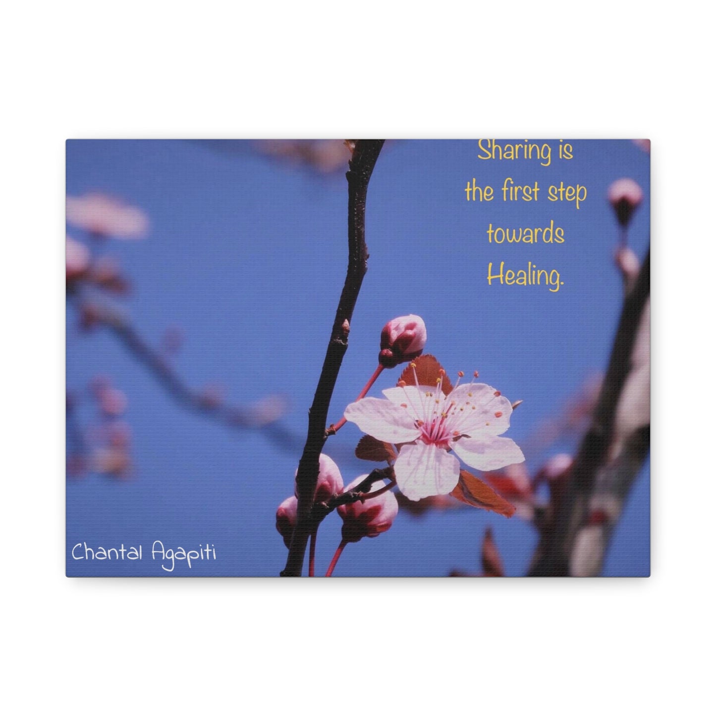 Inspirational Flower Canvas Print - "Sharing is the First Step Towards Healing" - The Dreamer's Bookshop.