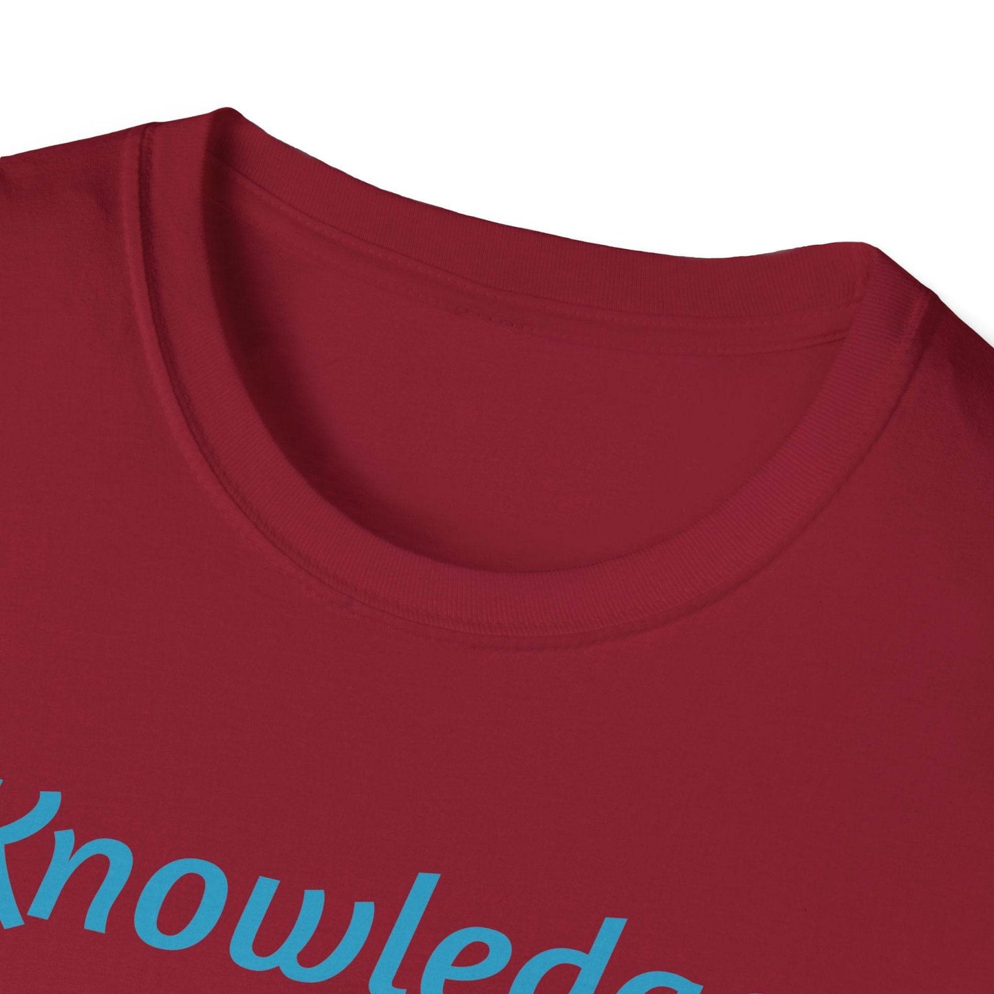 Knowledge Keeper Graphic T-Shirt - Unisex Softstyle Tee, Owl Design - Proud Reader - The Dreamer's Bookshop.