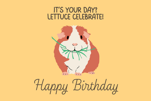The Dreamer's Bookshop "Lettuce Celebrate" Happy Birthday Card - The Dreamer's Bookshop.