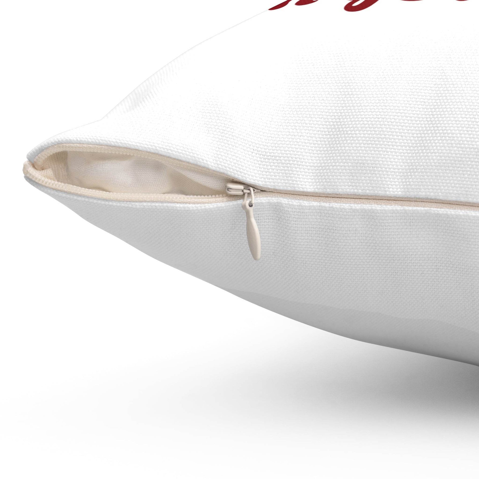 Inspirational Dreamer Square Pillow - Perfect for Book Lovers & Cozy Home Decor - The Dreamer's Bookshop.