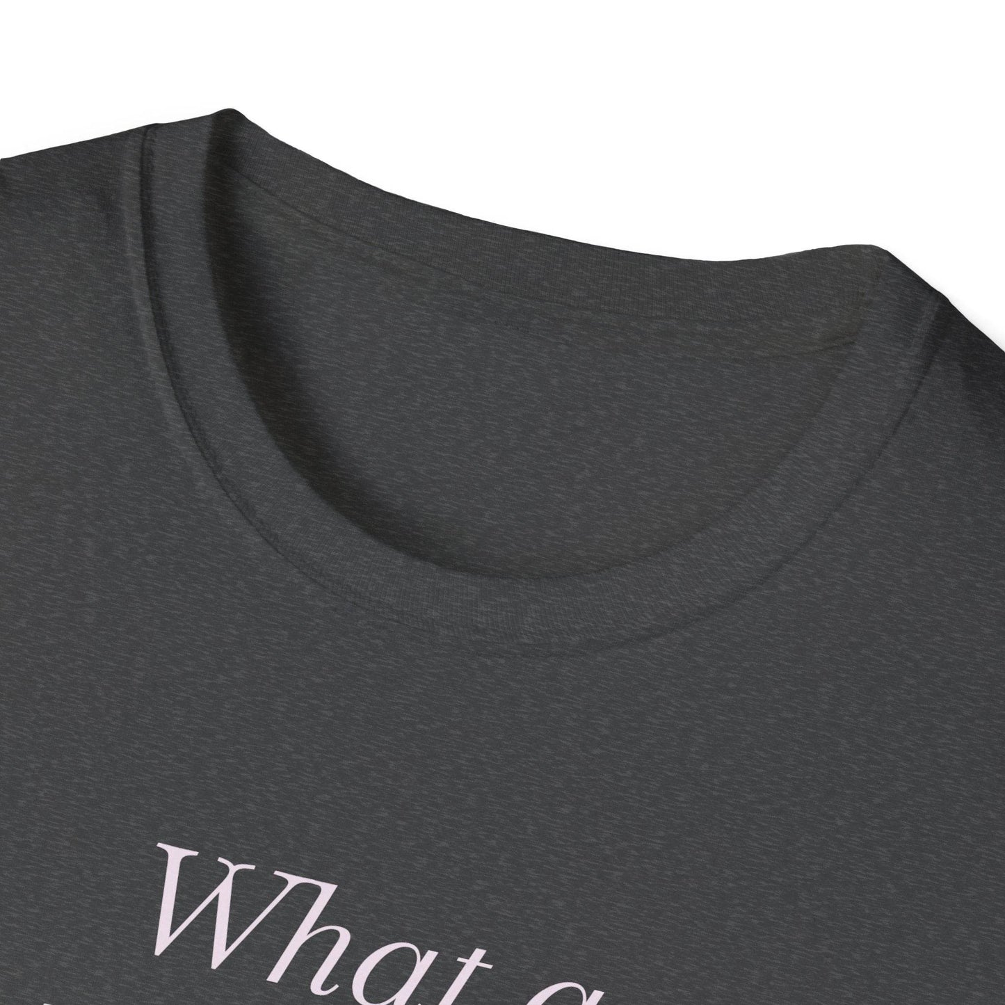 Book Lover Unisex Softstyle T-Shirt - 'What a Book Girlie Wants' - The Dreamer's Bookshop.