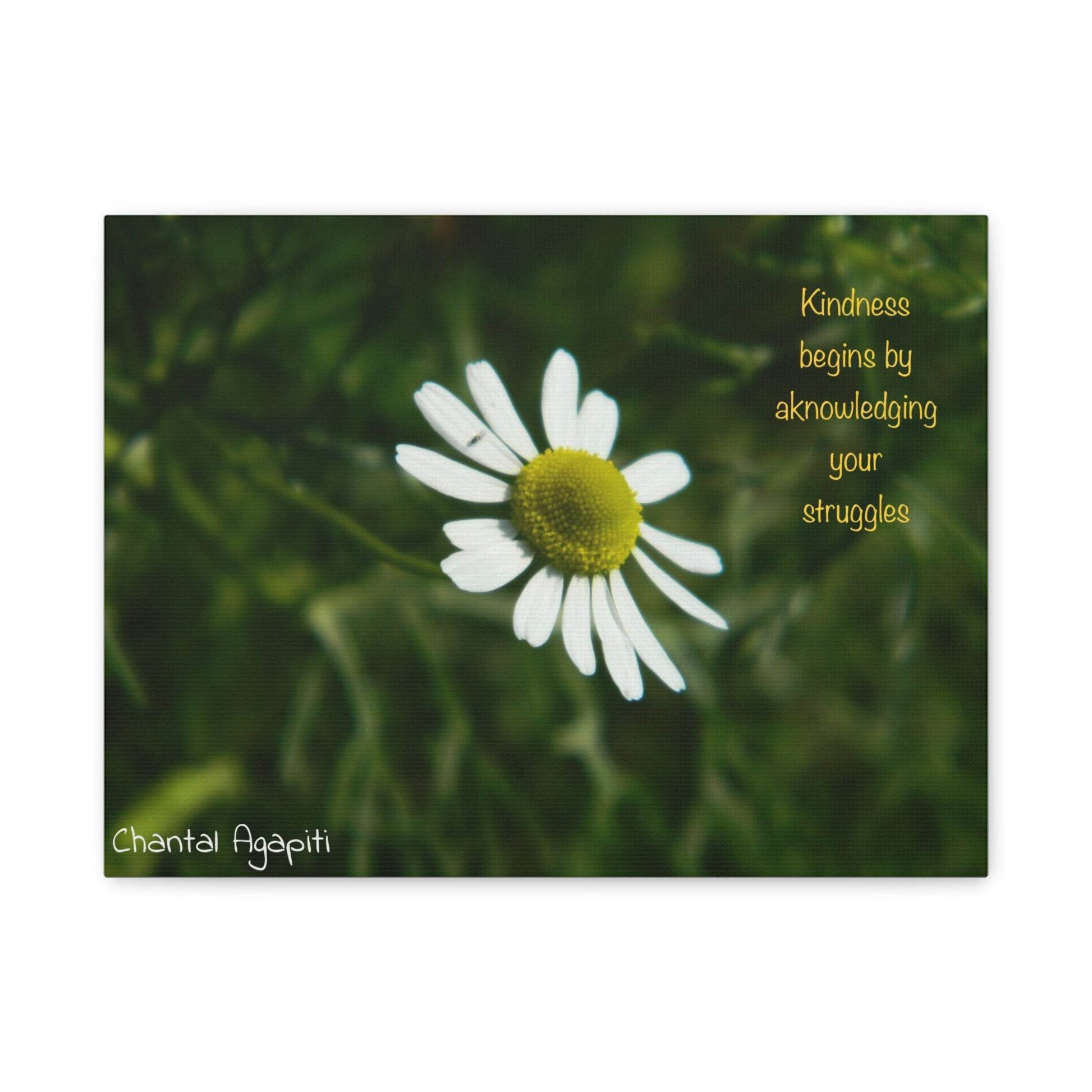 Inspirational Canvas Wall Art - Kindness Begins by Acknowledging Your Struggles - The Dreamer's Bookshop.