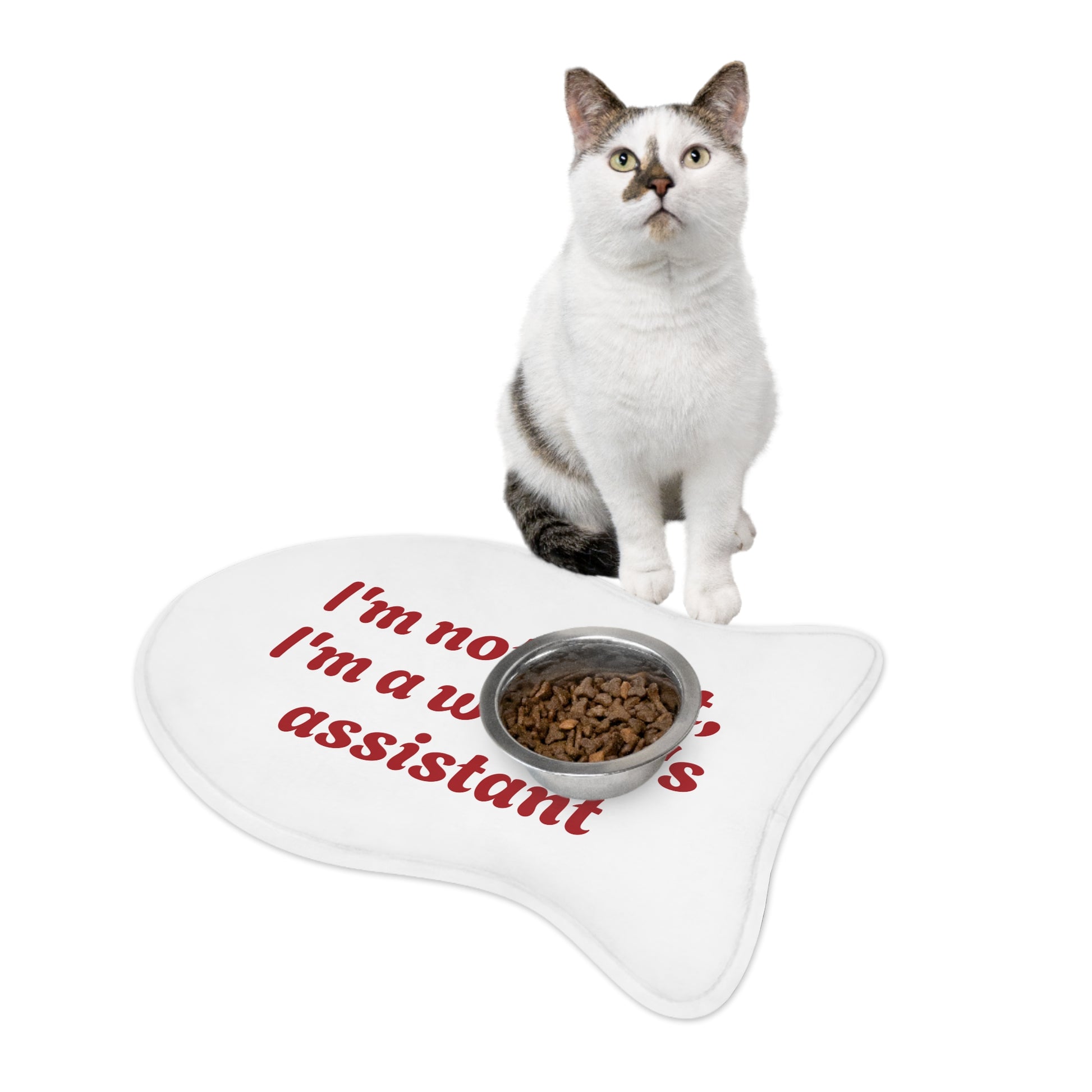Funny Pet Feeding Mat - "I'm Not a Pet, I'm a Writer's Assistant" - The Dreamer's Bookshop.
