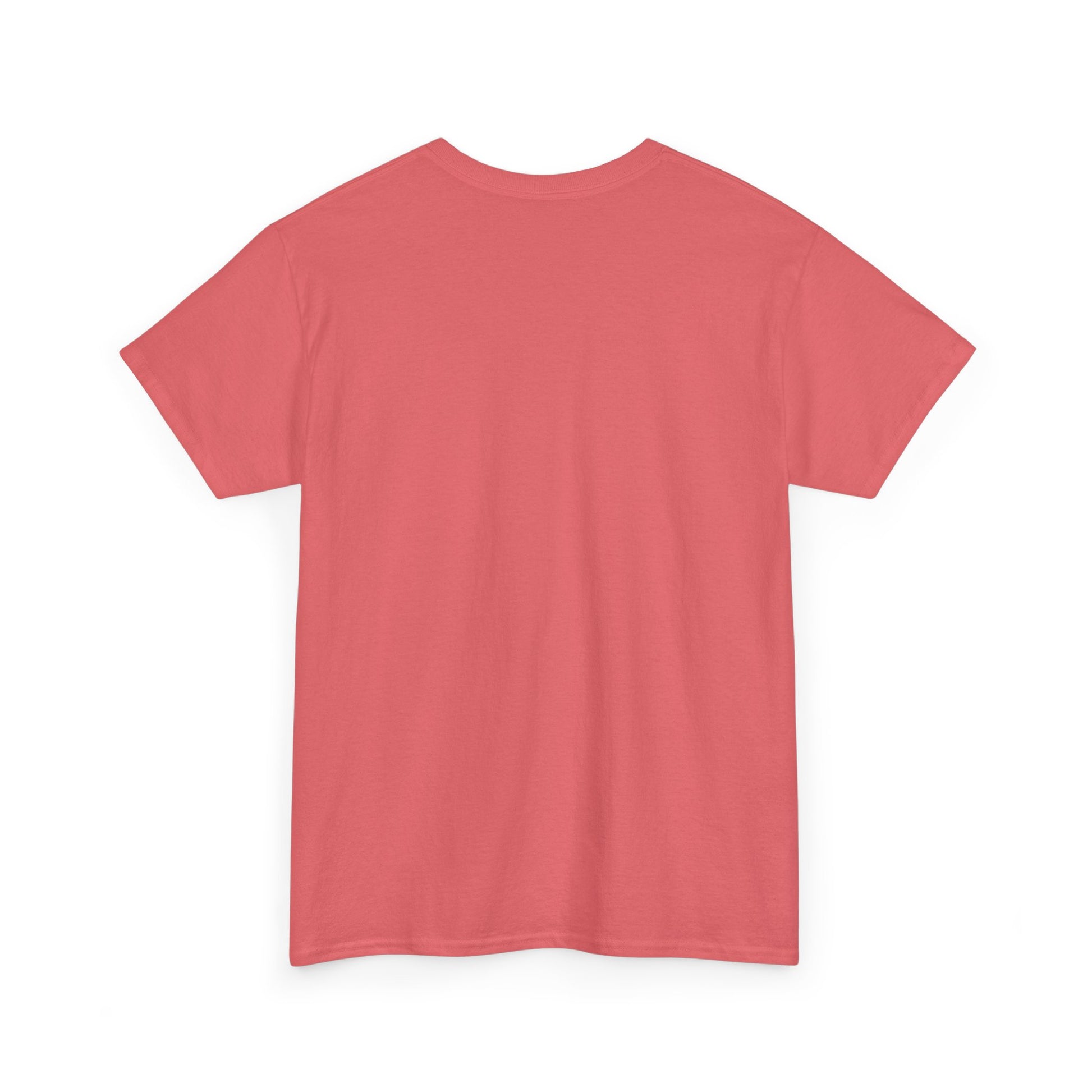 Book Lover's Unisex Heavy Cotton Tee - "Travel" - The Dreamer's Bookshop.