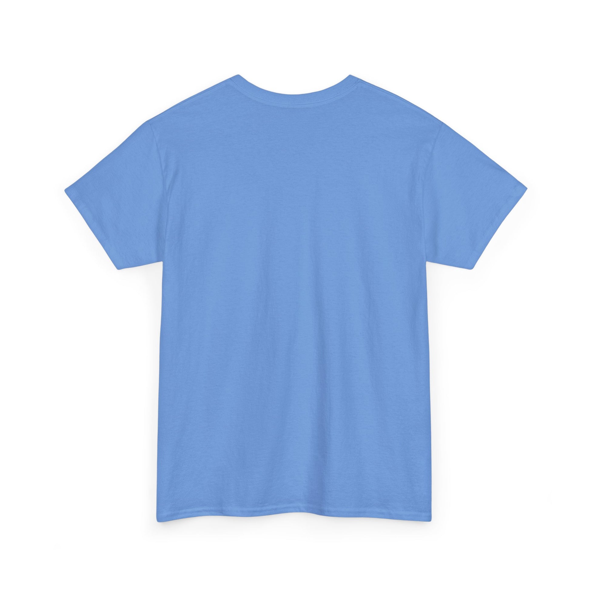 Unisex Heavy Cotton Tee - "Awaken Your Imagination" Inspirational Shirt - The Dreamer's Bookshop.