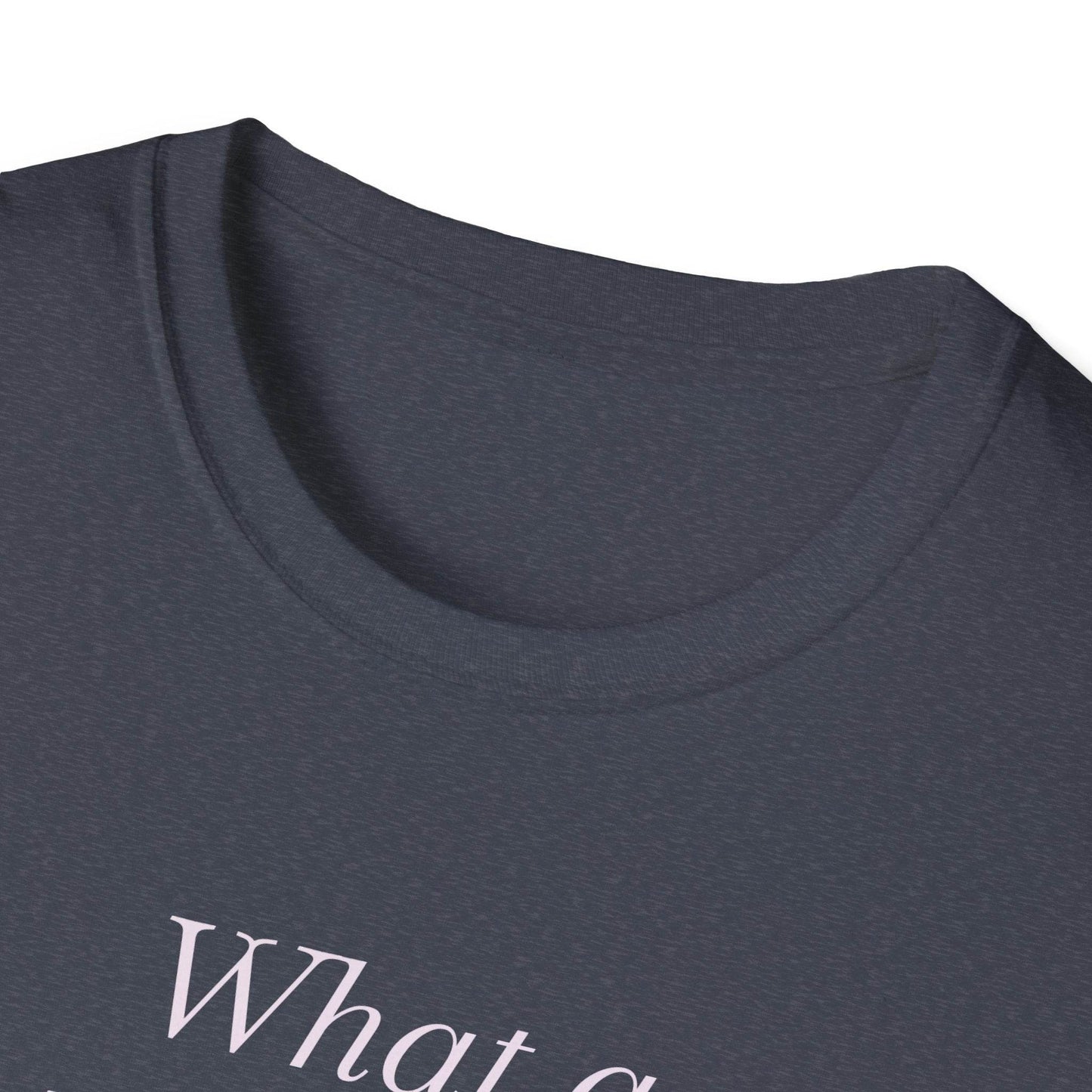 Book Lover Unisex Softstyle T-Shirt - 'What a Book Girlie Wants' - The Dreamer's Bookshop.