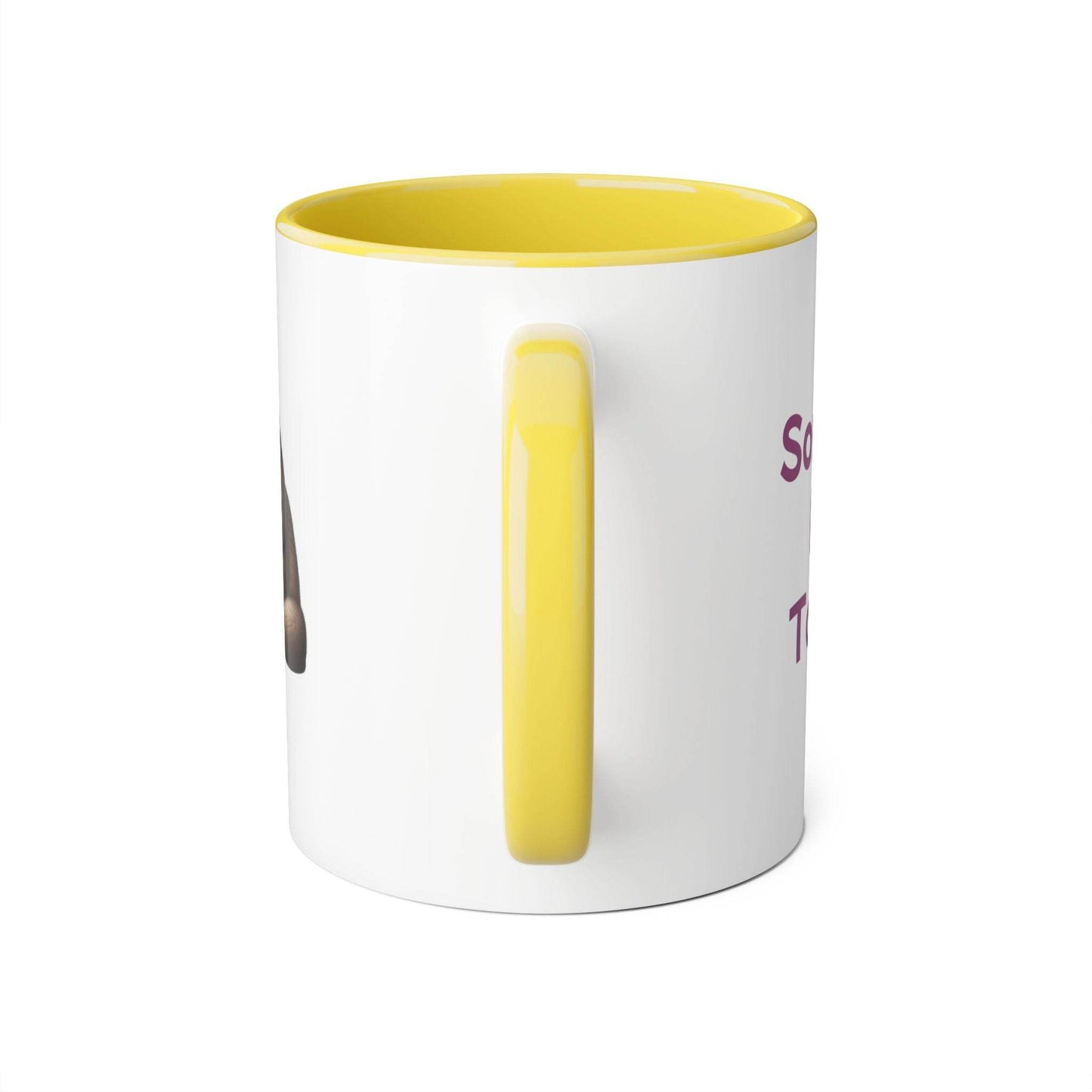 Funny Writer Cat Accent Mug - 11oz Coffee Cup for Book Lovers - The Dreamer's Bookshop.