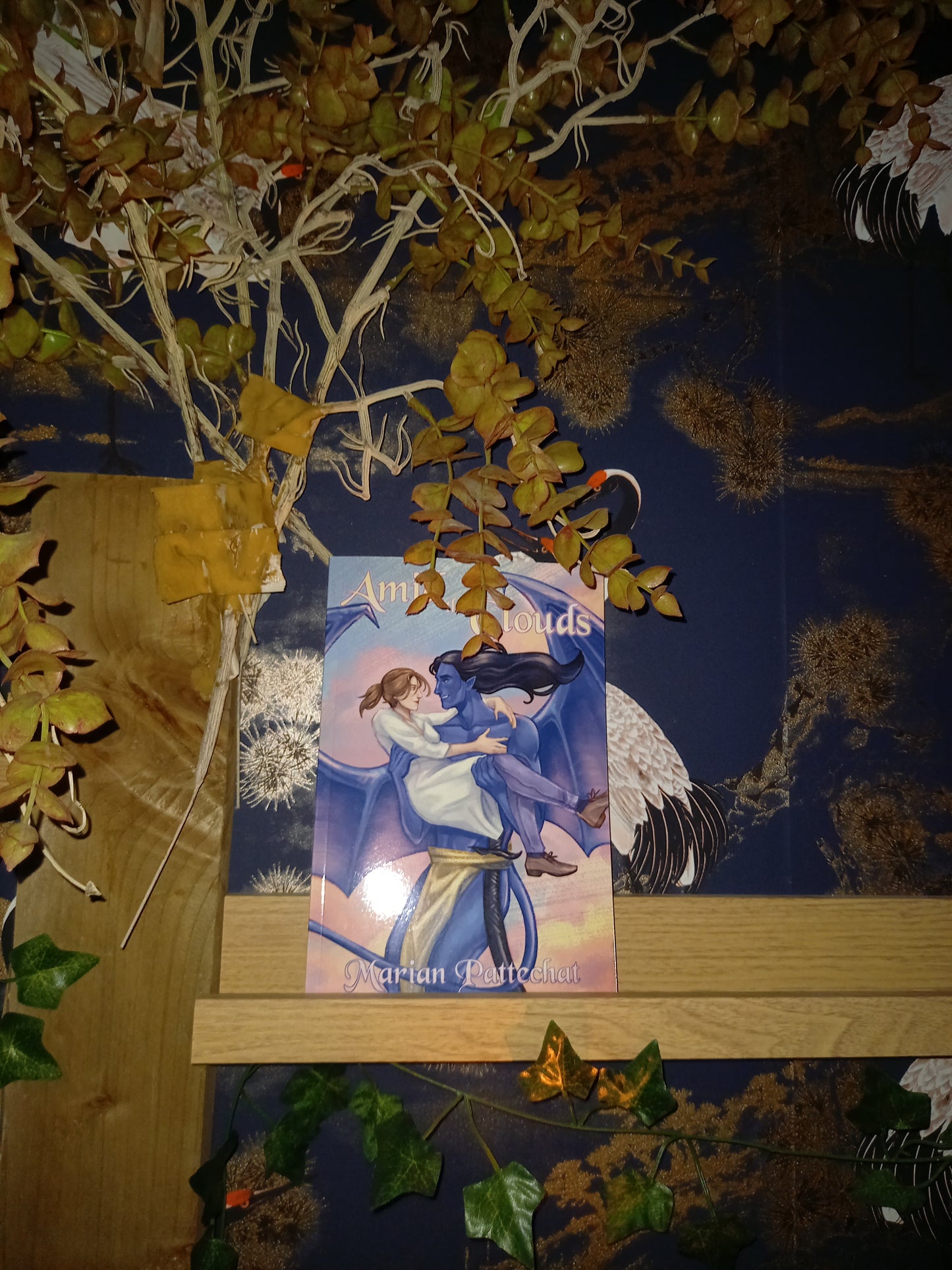 A book: Amid the Clouds.