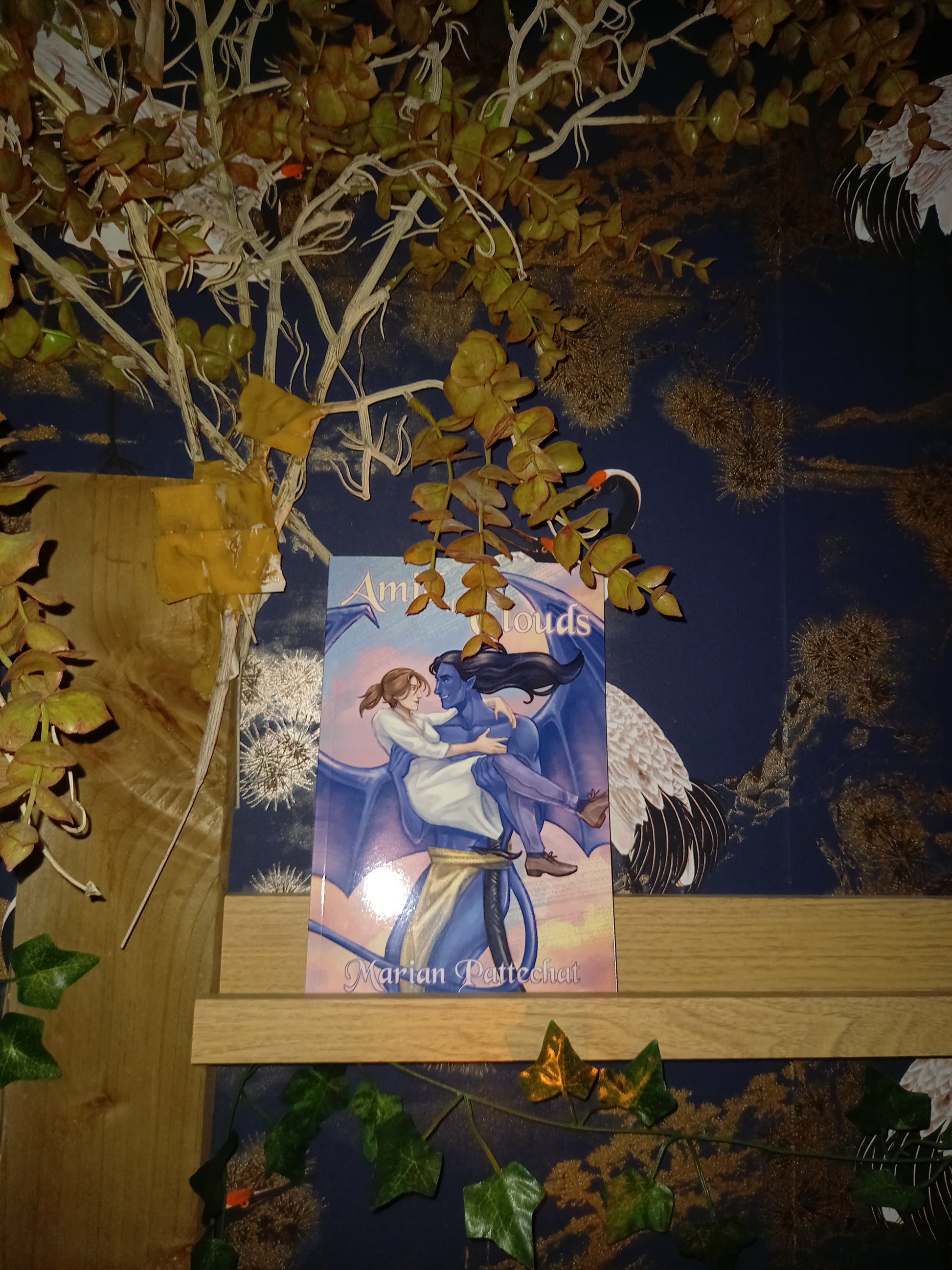 A book: Amid the Clouds.