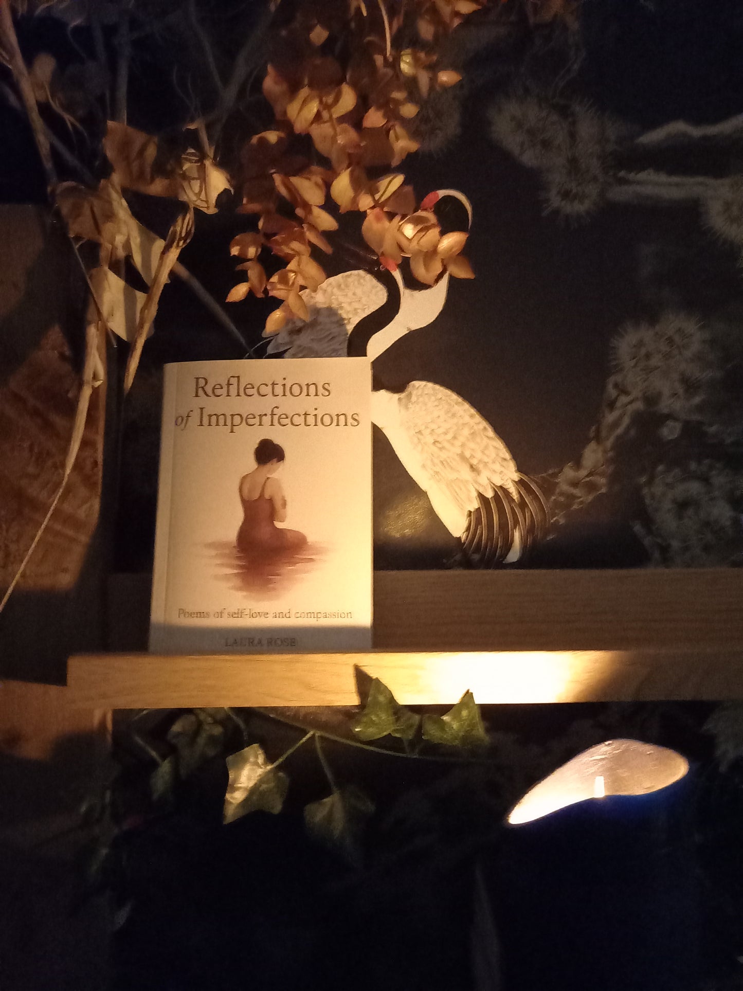 A book cover: Reflections of Imperfections.