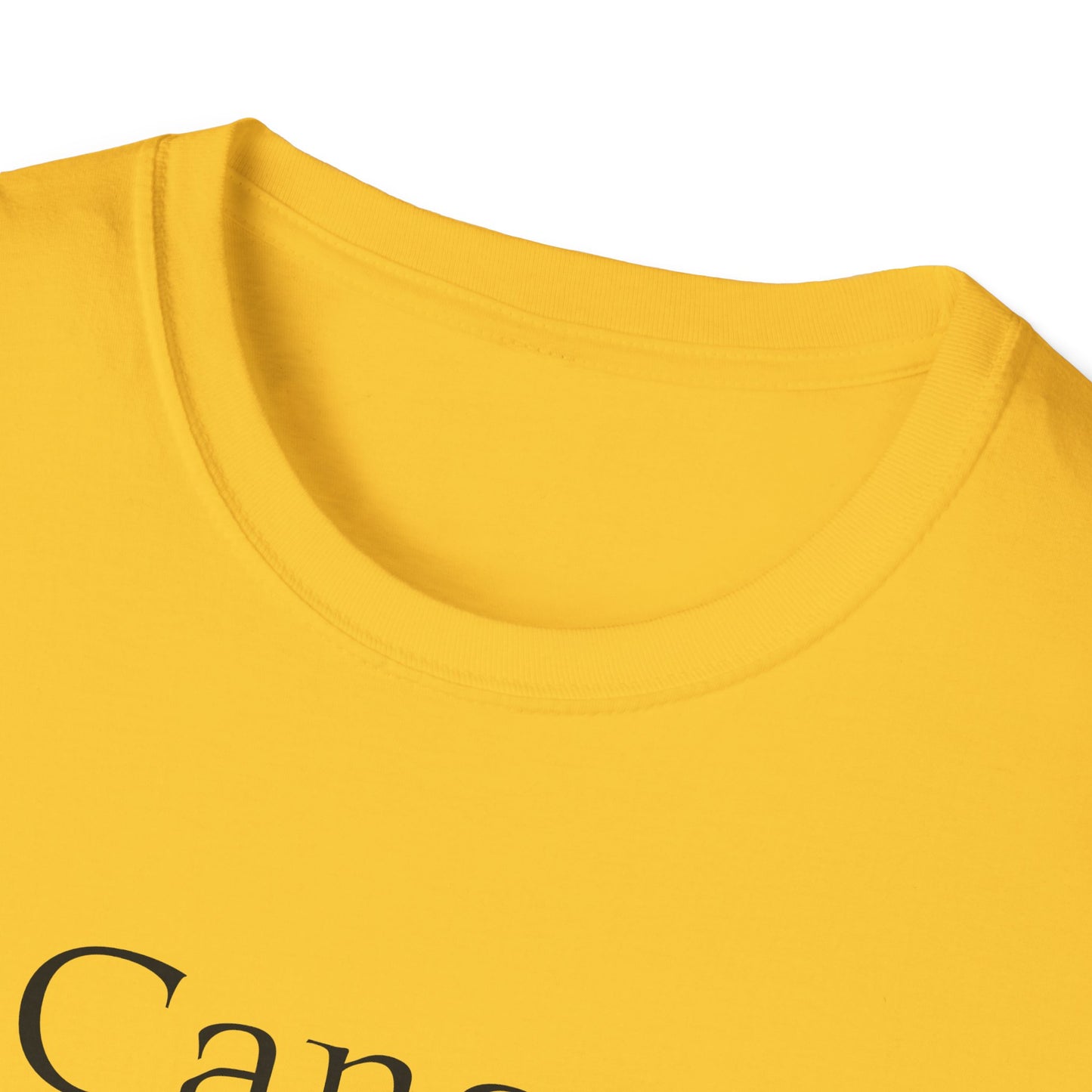 Cancer Warrior Unisex Softstyle T-Shirt - What's Your Battle?