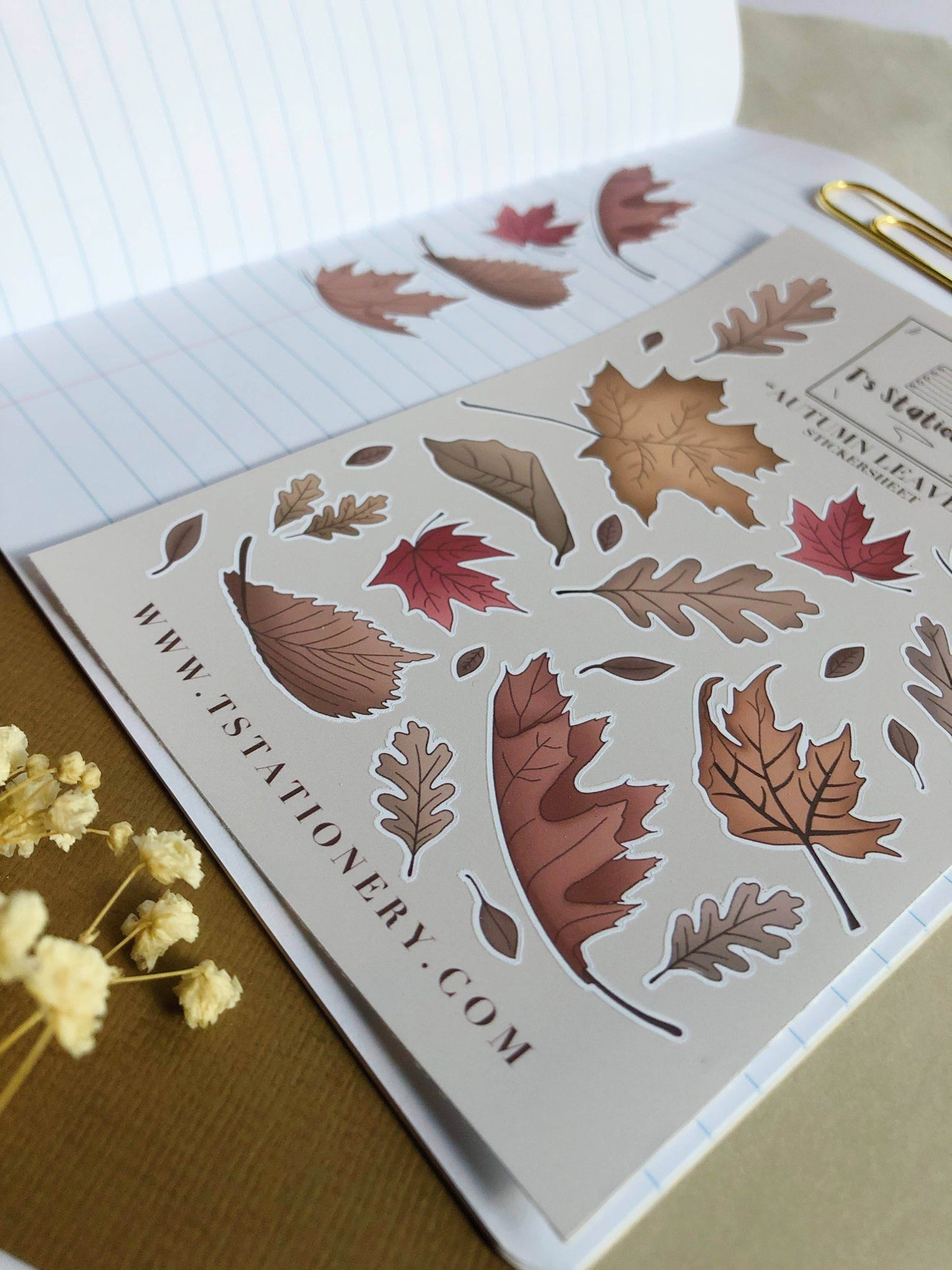 T's Stationery - „Herfstbladeren” - The Dreamer's Bookshop.