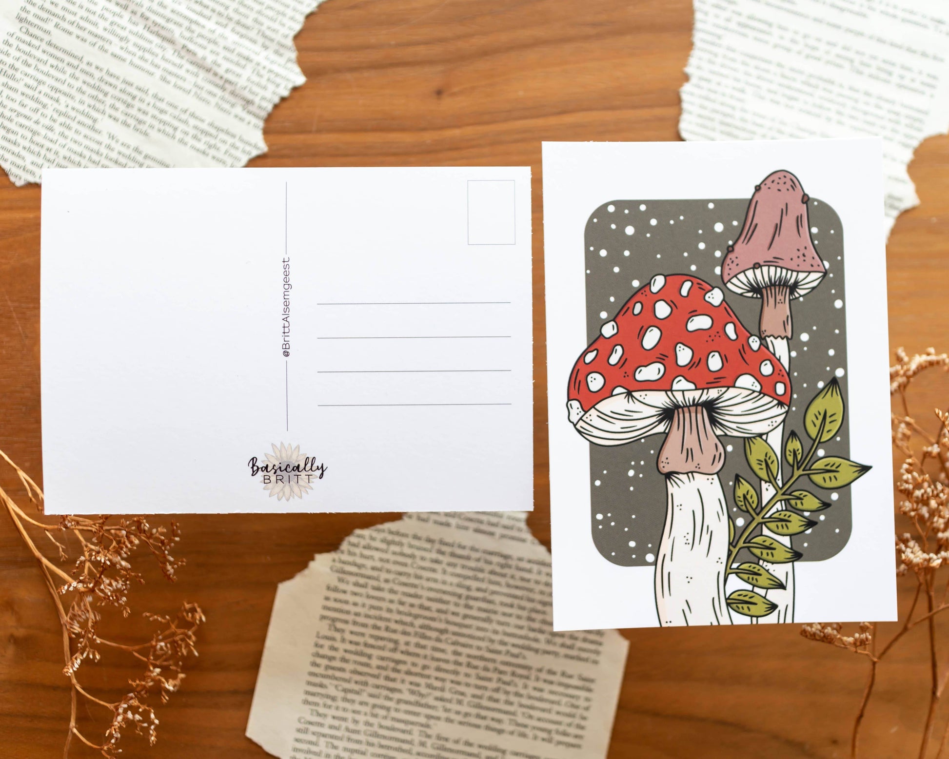 Basically Britt - Set of 2 postcards - Toadstools - The Dreamer's Bookshop.