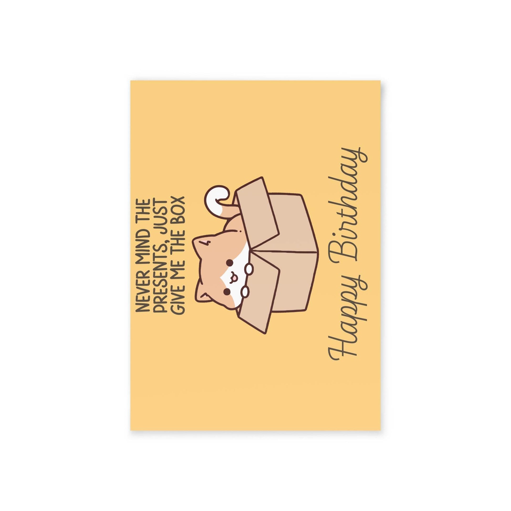 The Dreamer's Bookshop Cute "Give me the Box" Cat Birthday Card - The Dreamer's Bookshop.