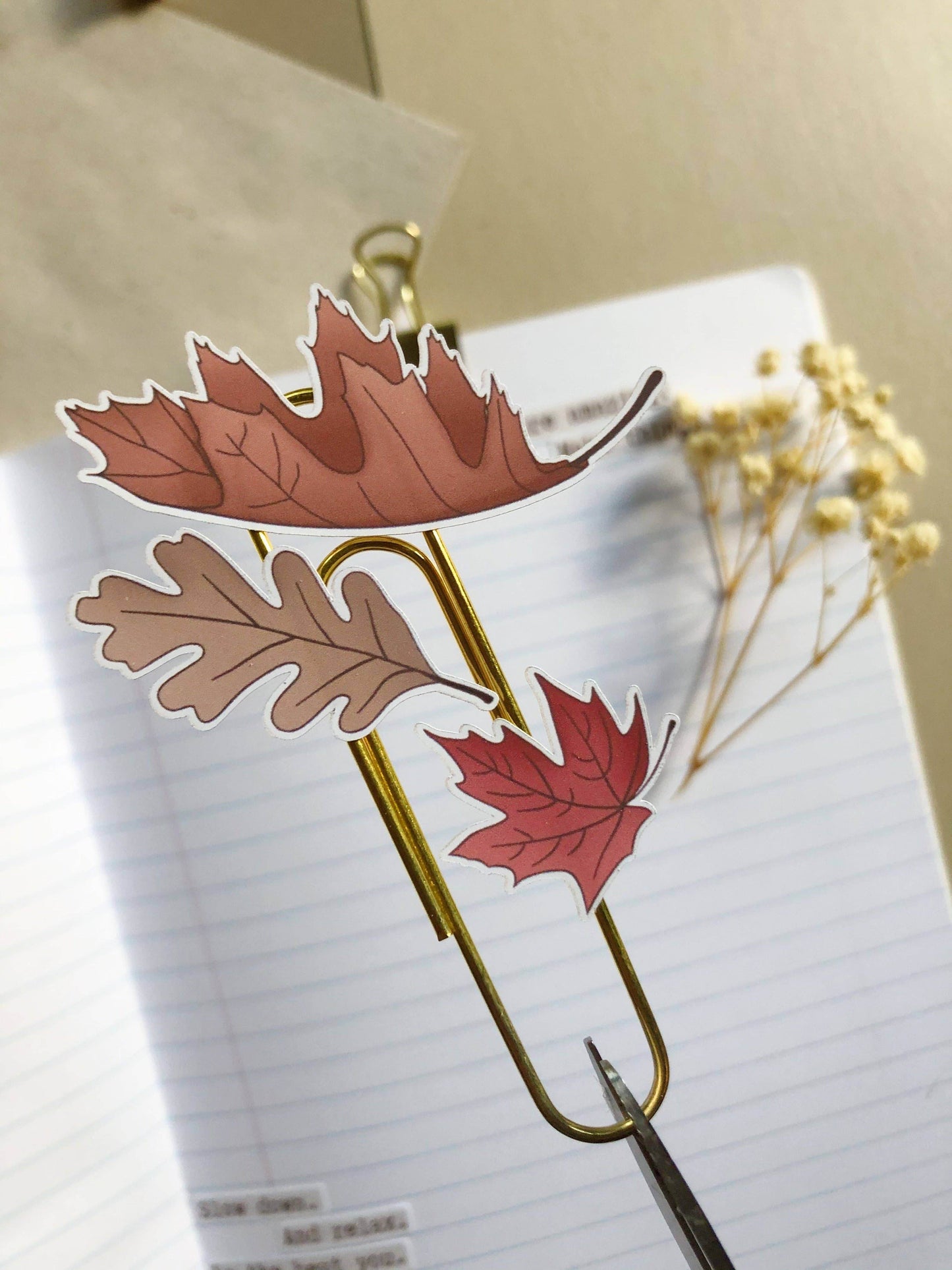 T's Stationery - „Herfstbladeren” - The Dreamer's Bookshop.