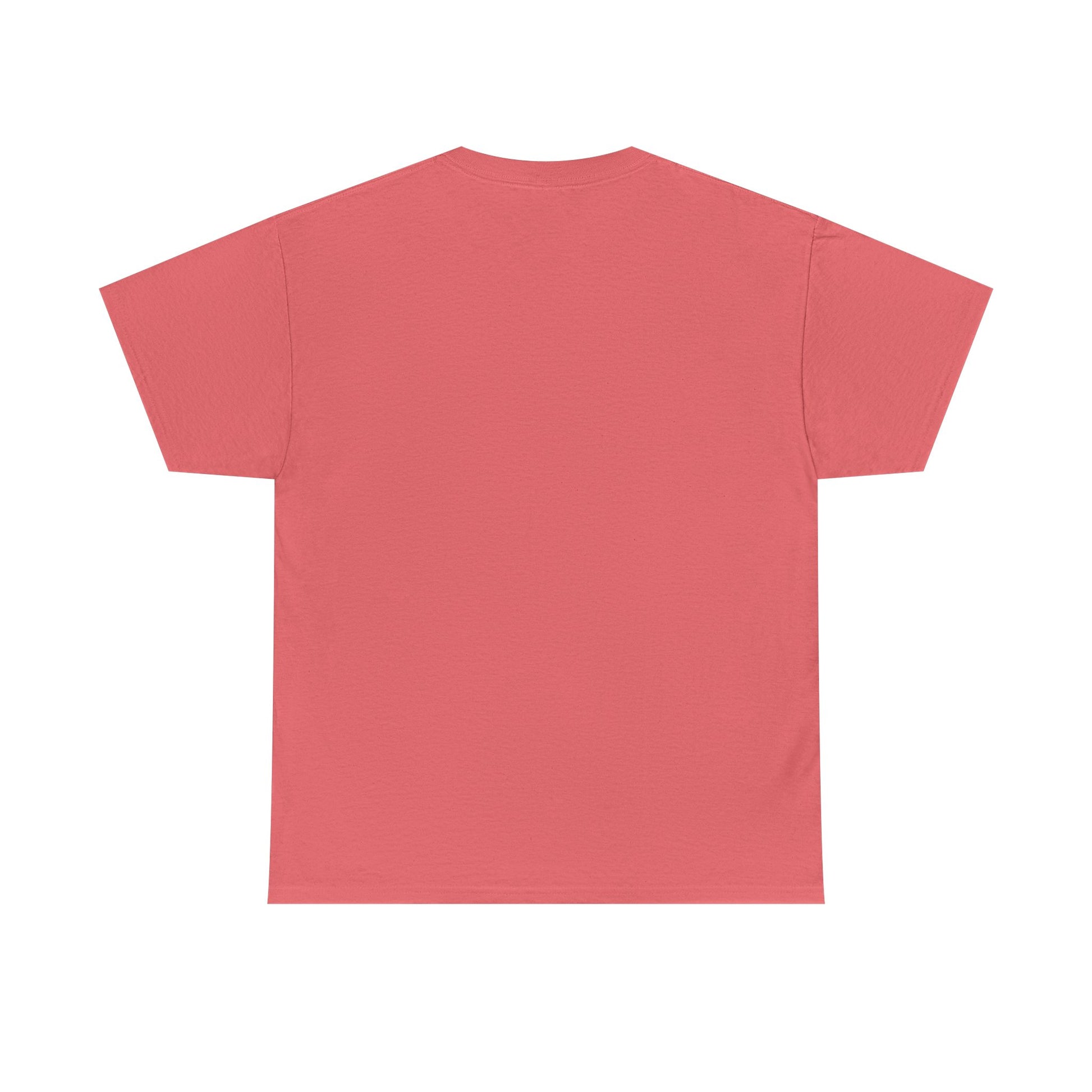 Book Lover's Unisex Heavy Cotton Tee - "Travel" - The Dreamer's Bookshop.